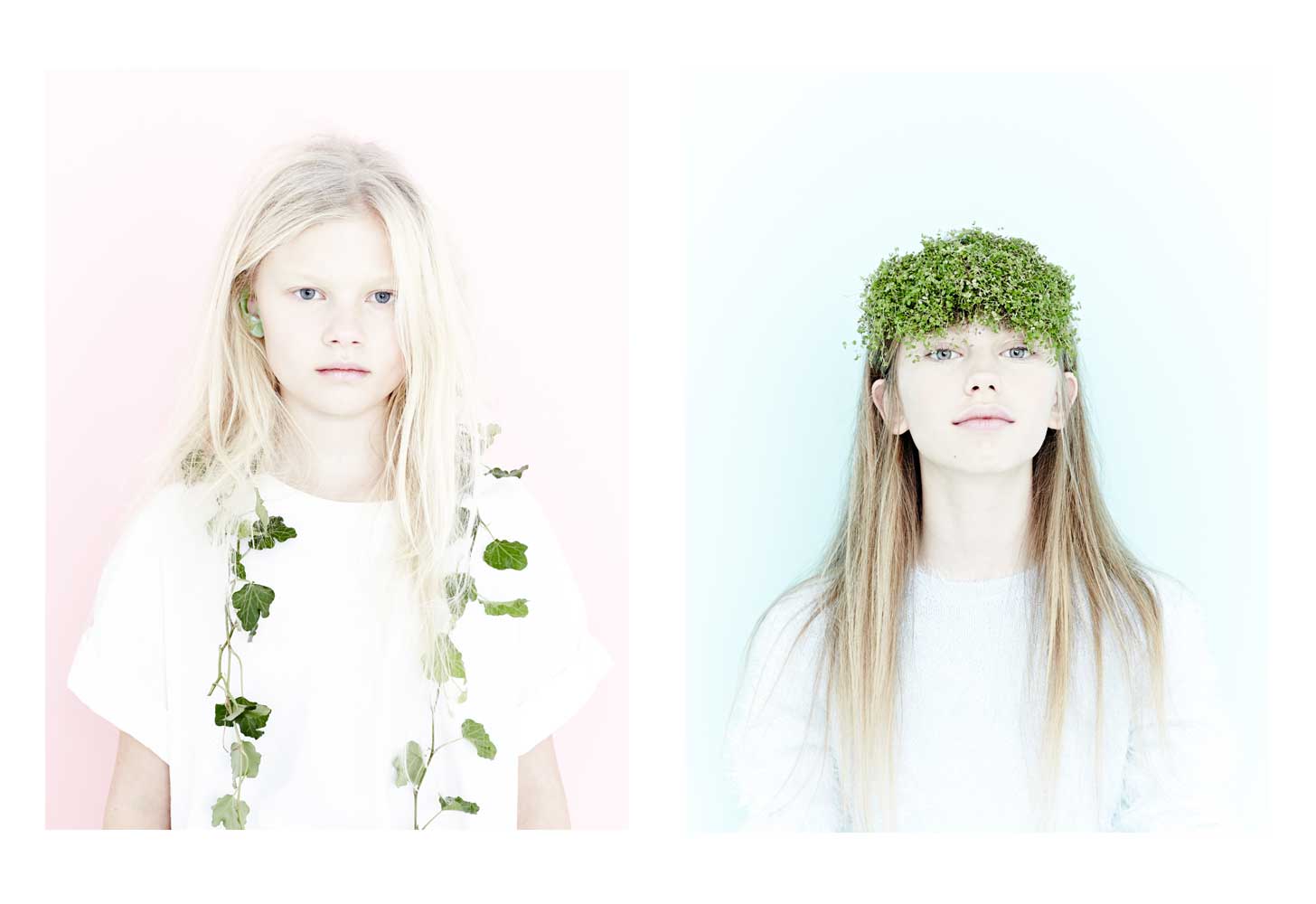 blossom