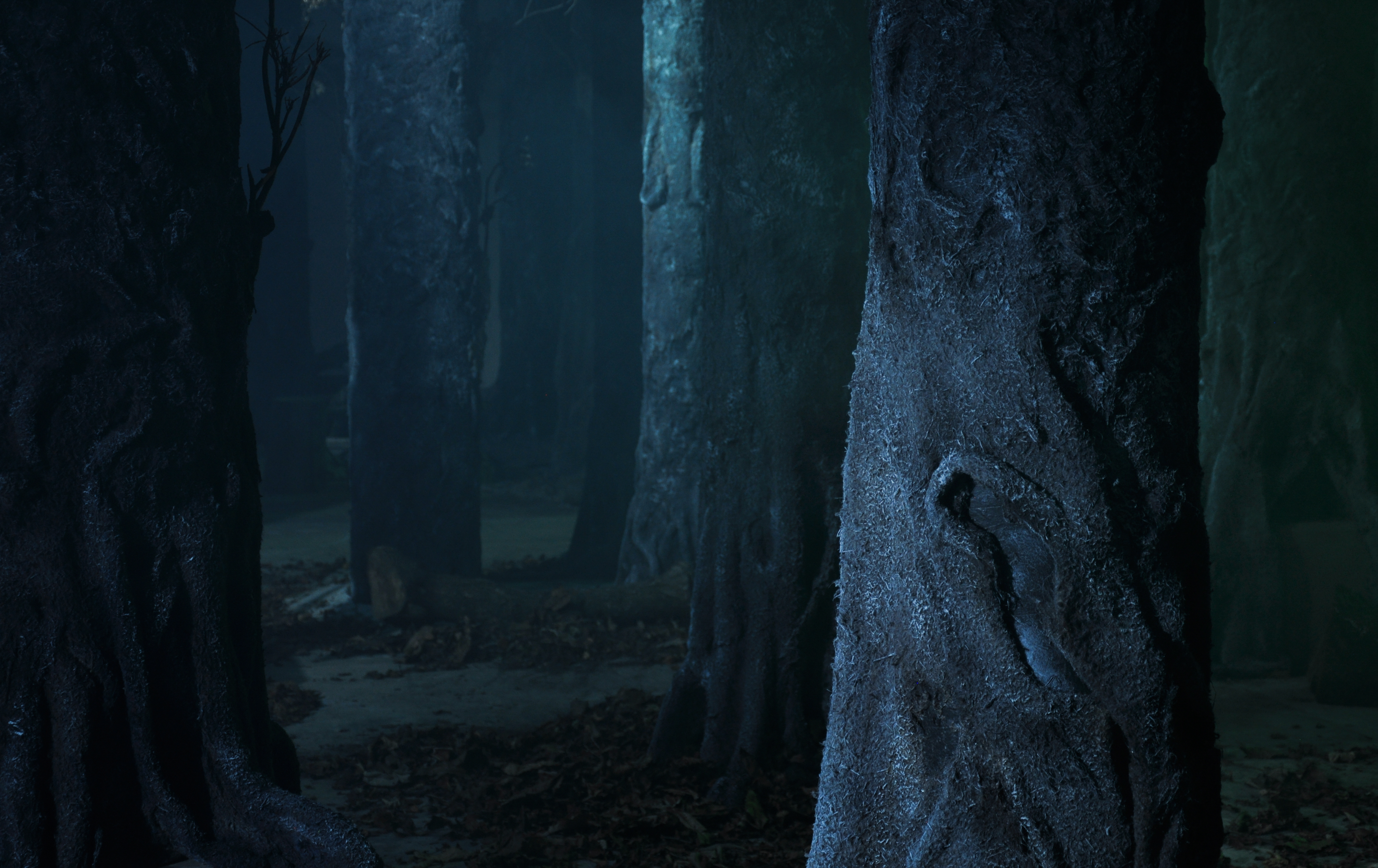 The Wood Beneath The World