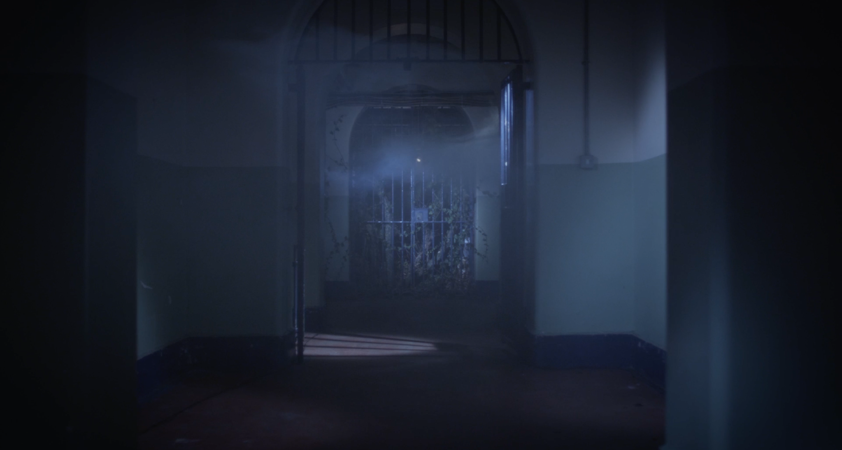 The Wood Beneath The World