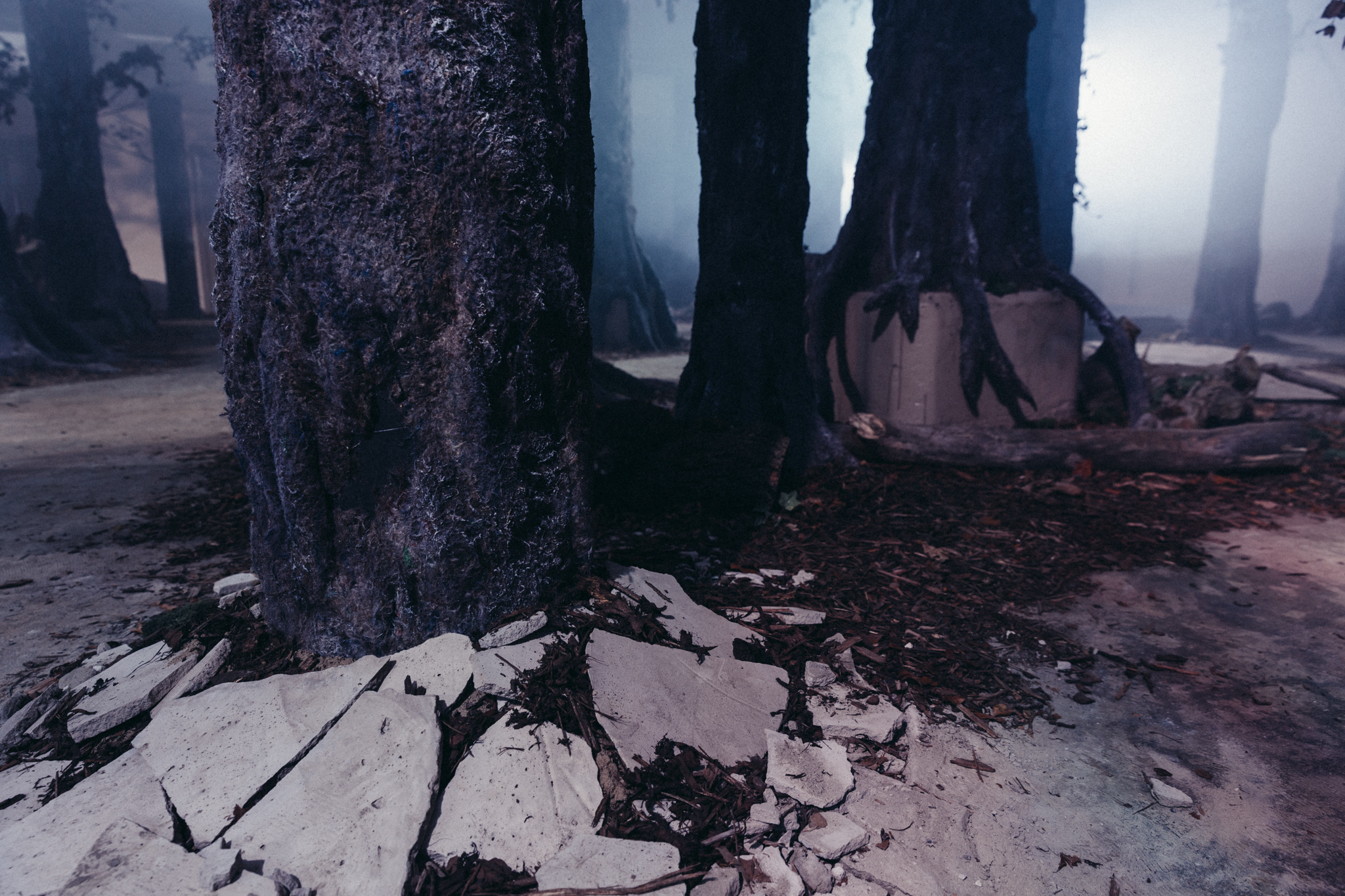 The Wood Beneath The World