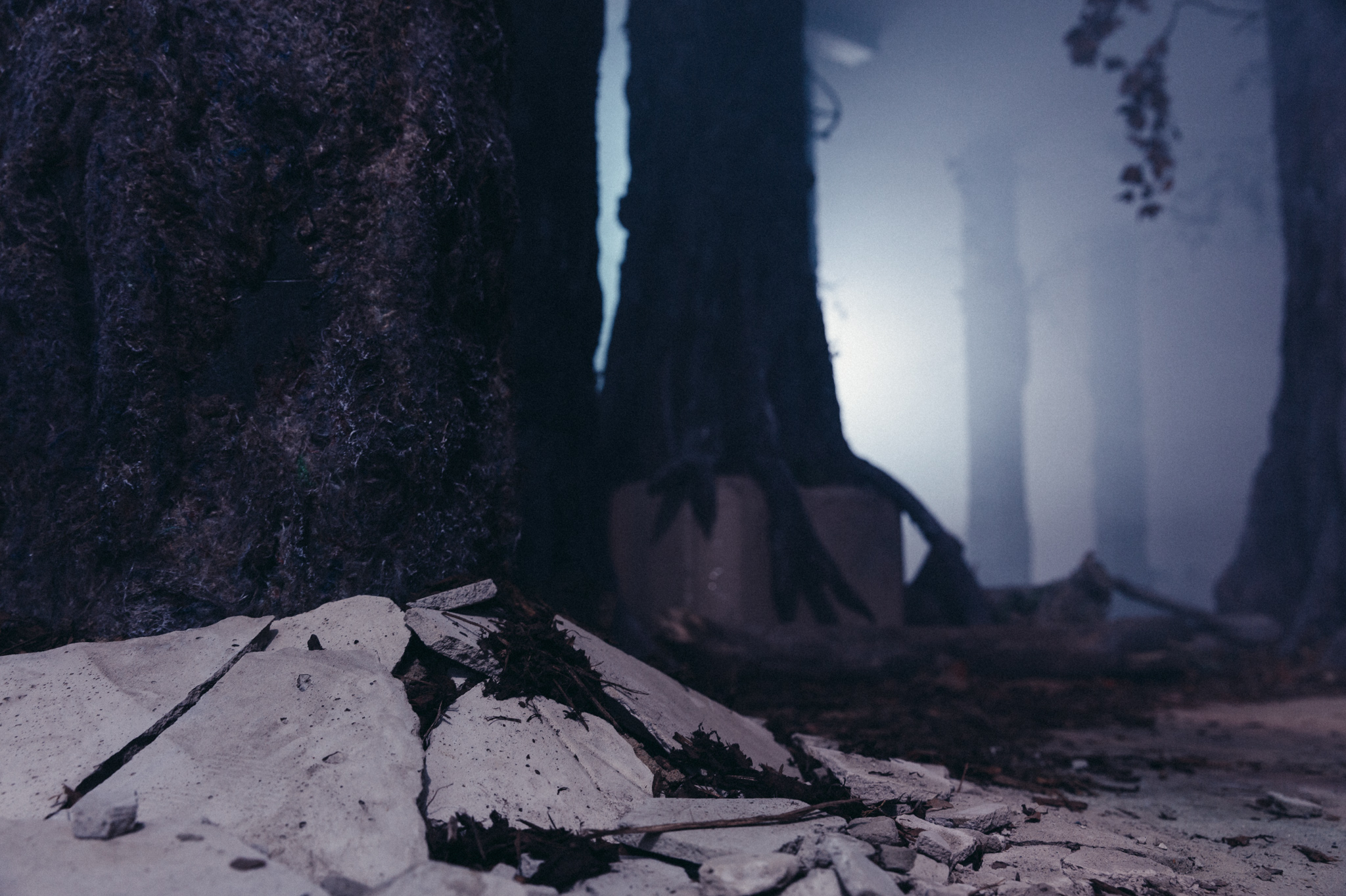 The Wood Beneath The World