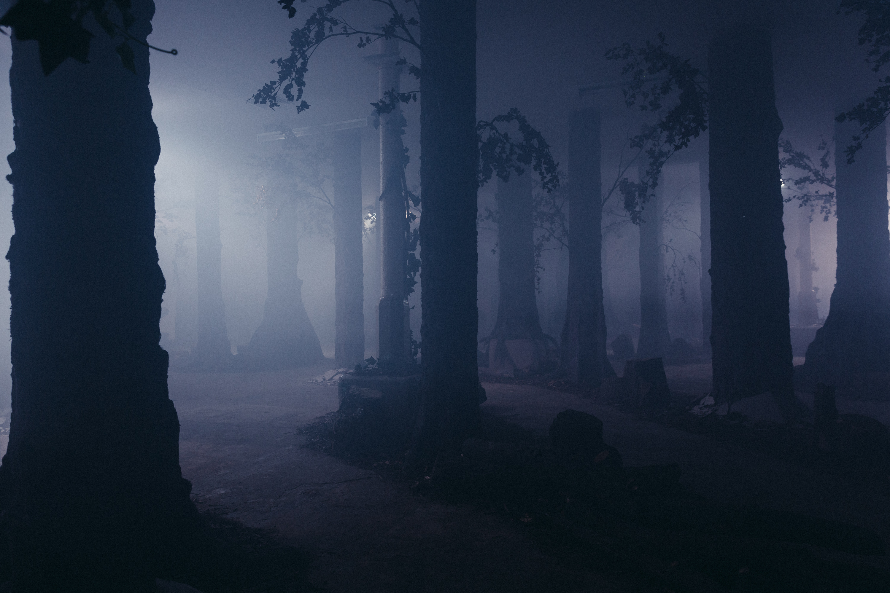 The Wood Beneath The World