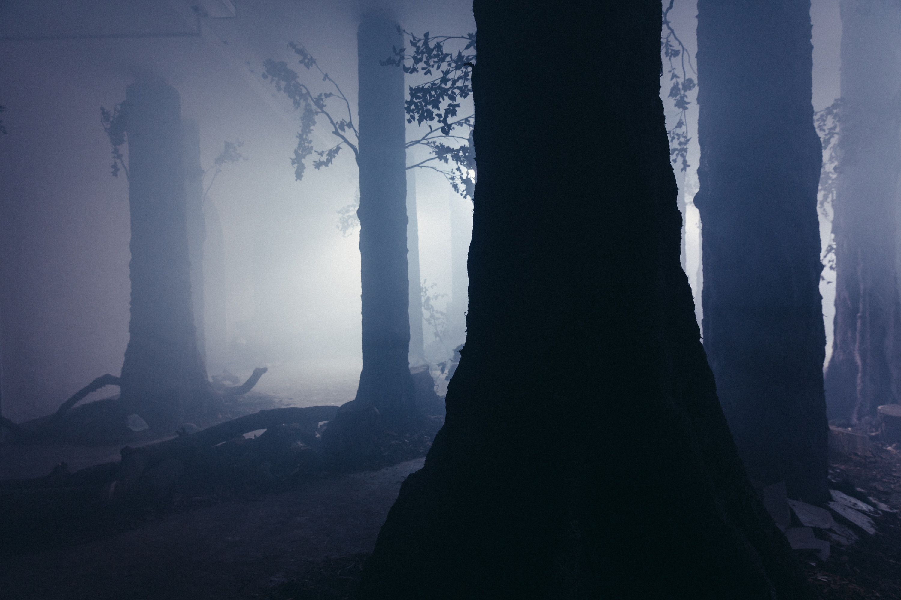 The Wood Beneath The World