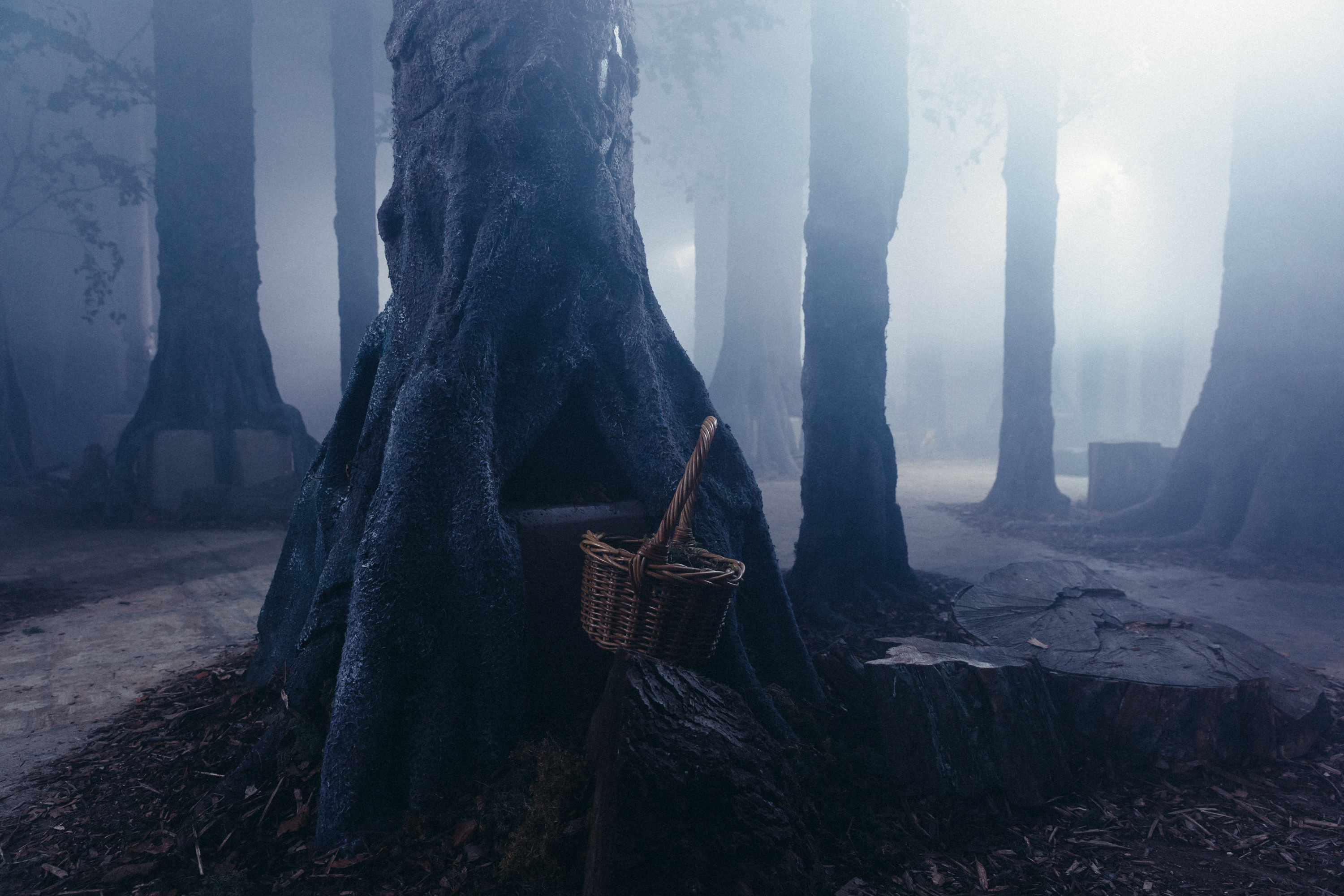 The Wood Beneath The World