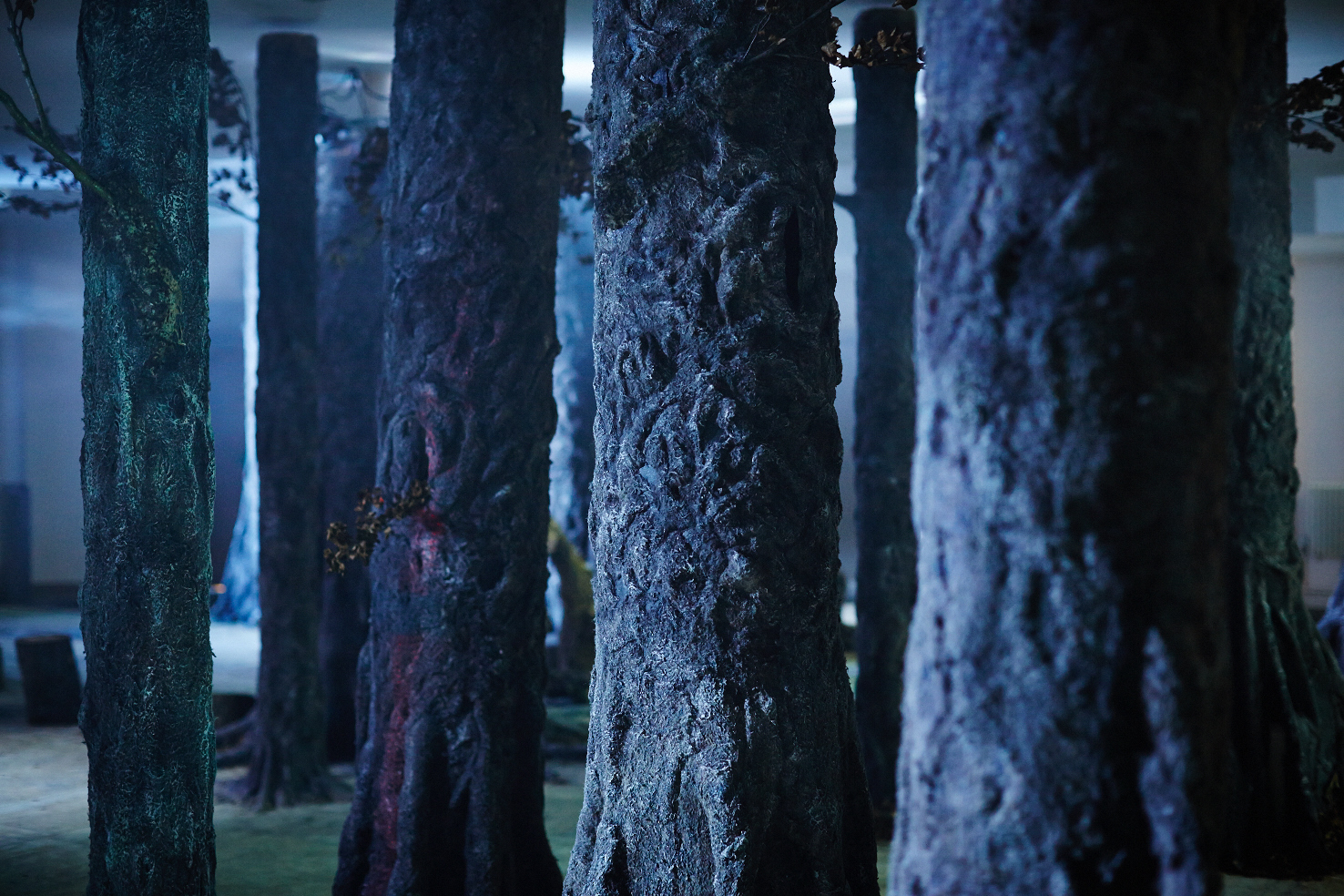 The Wood Beneath The World