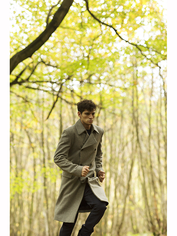 into the woods | THE independent magazine