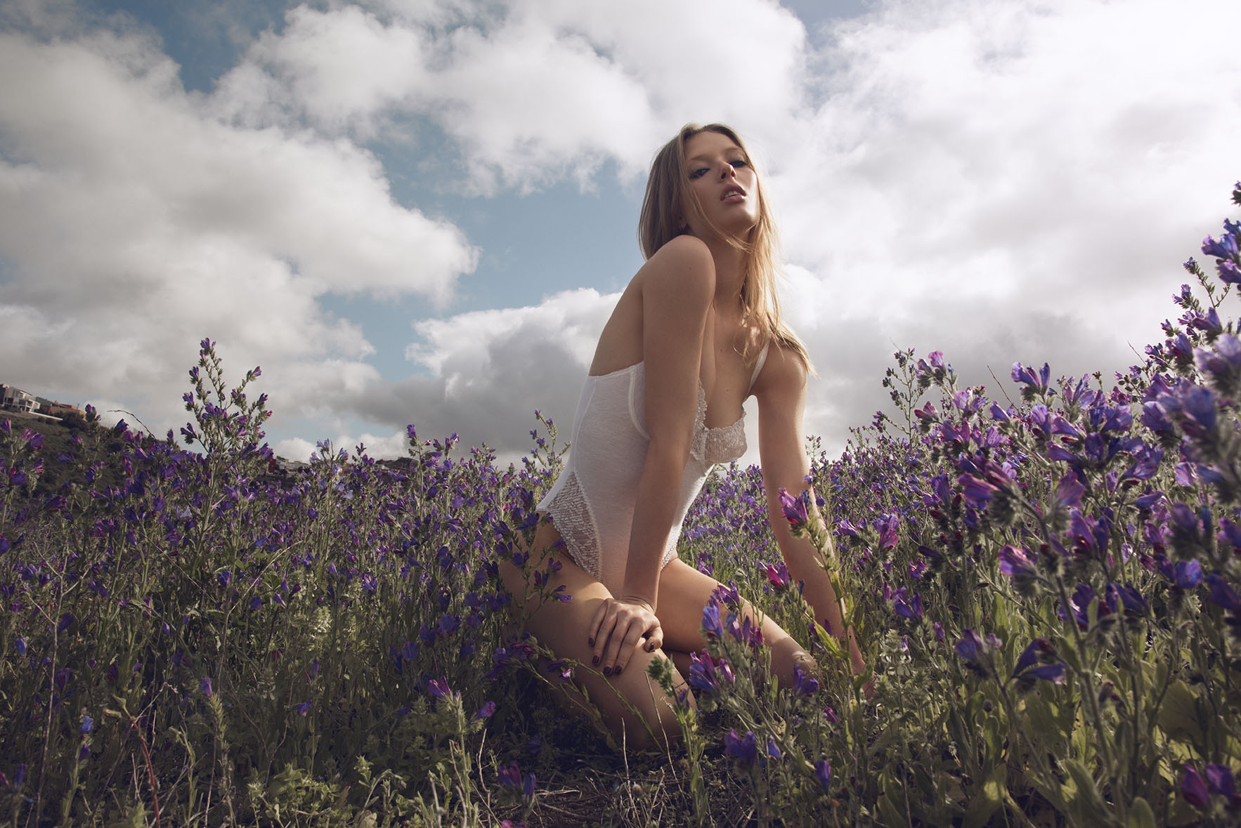 nordic garden | maybelline