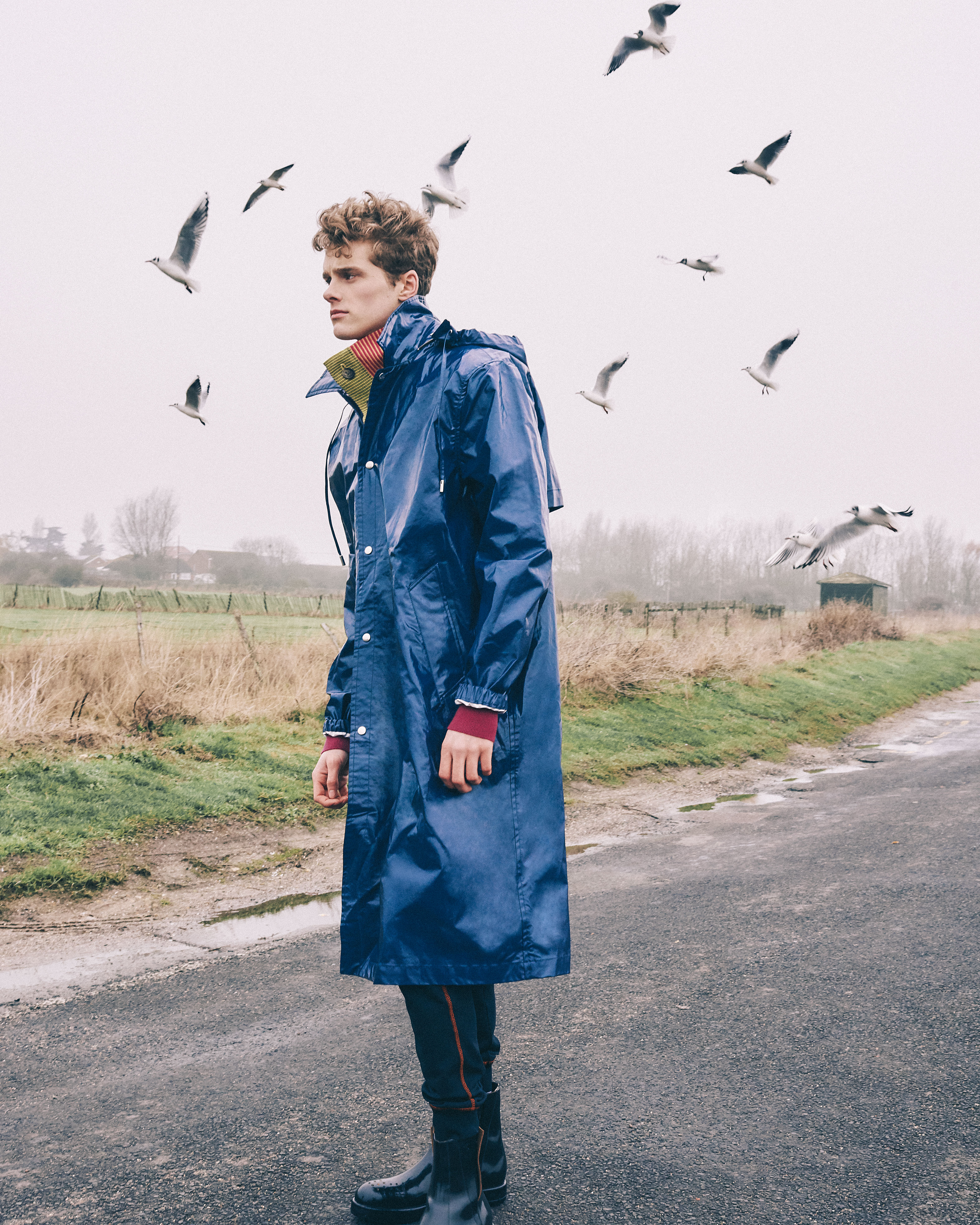 Alvar | Gale