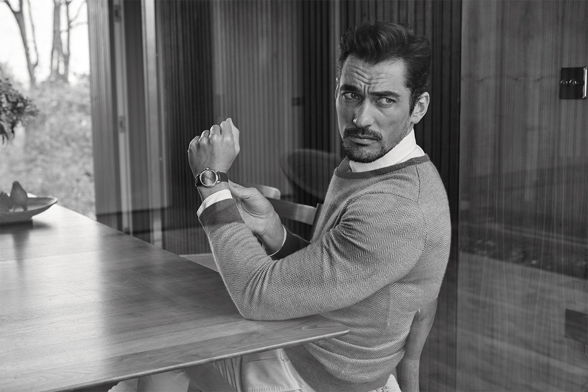 The Jackal | David Gandy