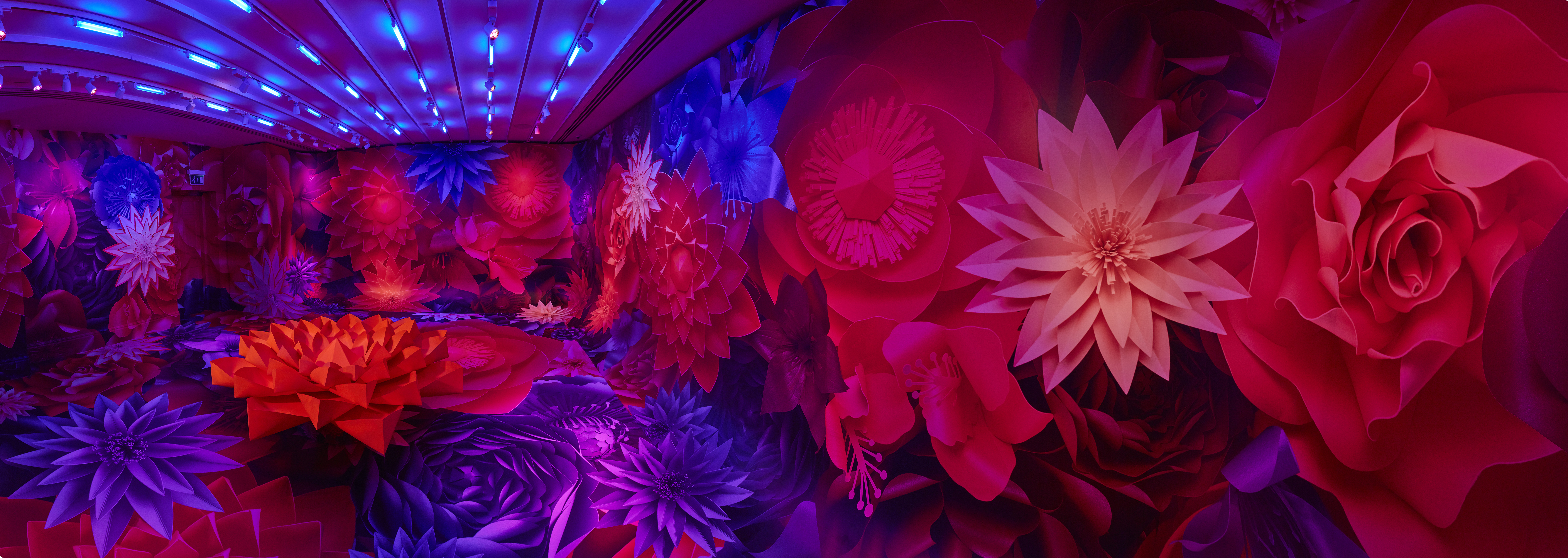 GALERIA MELISSA | NEON GARDEN