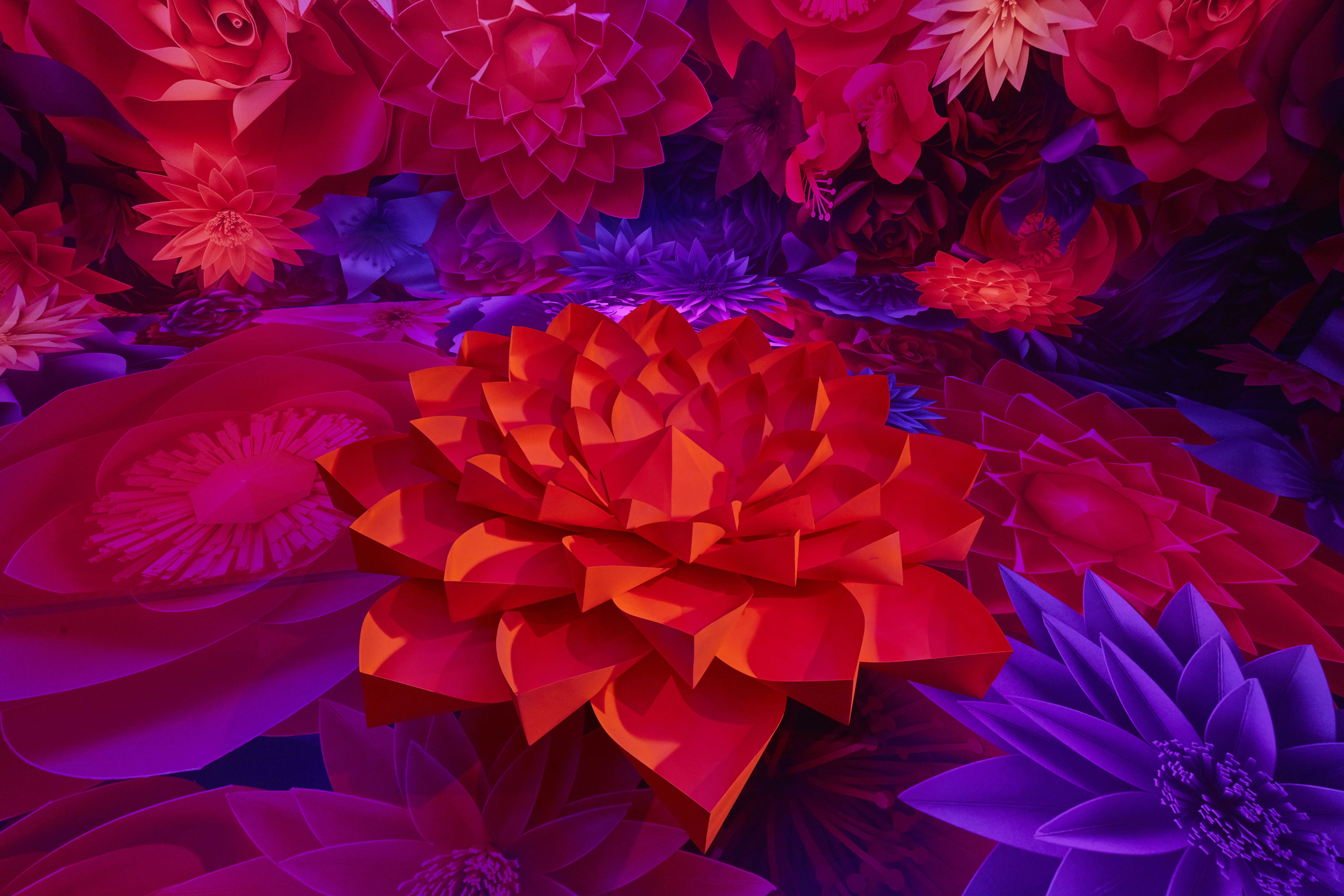 GALERIA MELISSA | NEON GARDEN