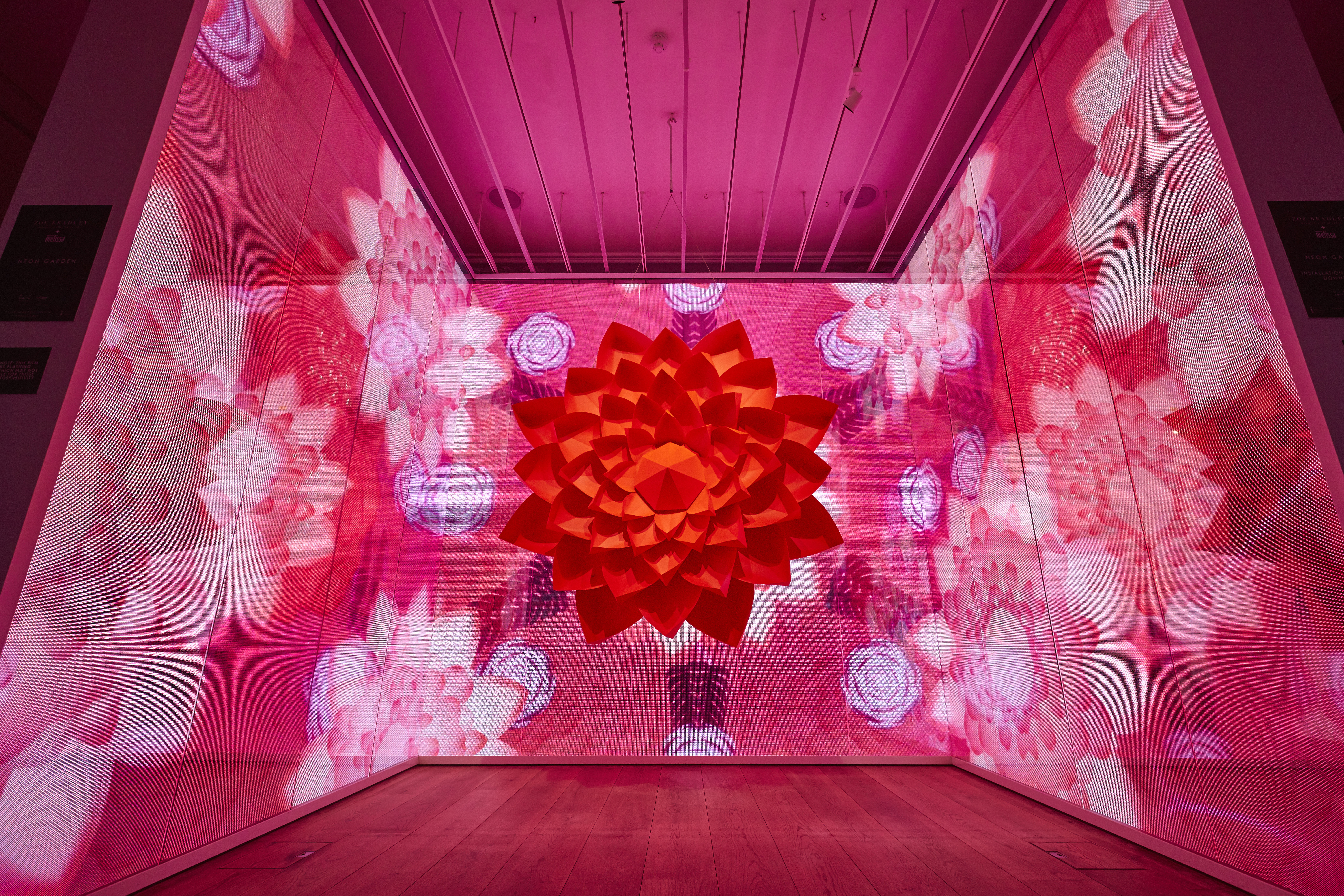 GALERIA MELISSA | NEON GARDEN