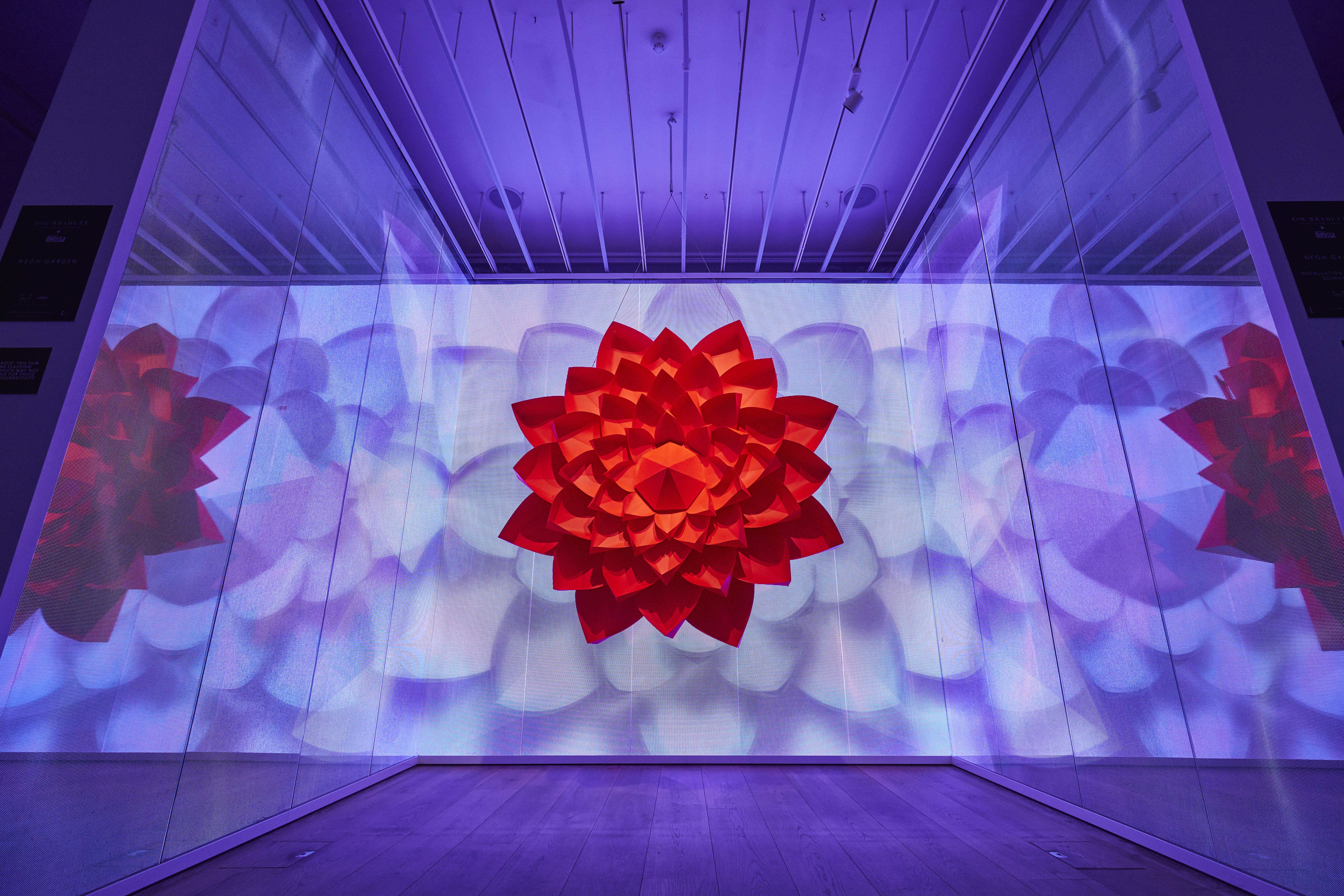 GALERIA MELISSA | NEON GARDEN