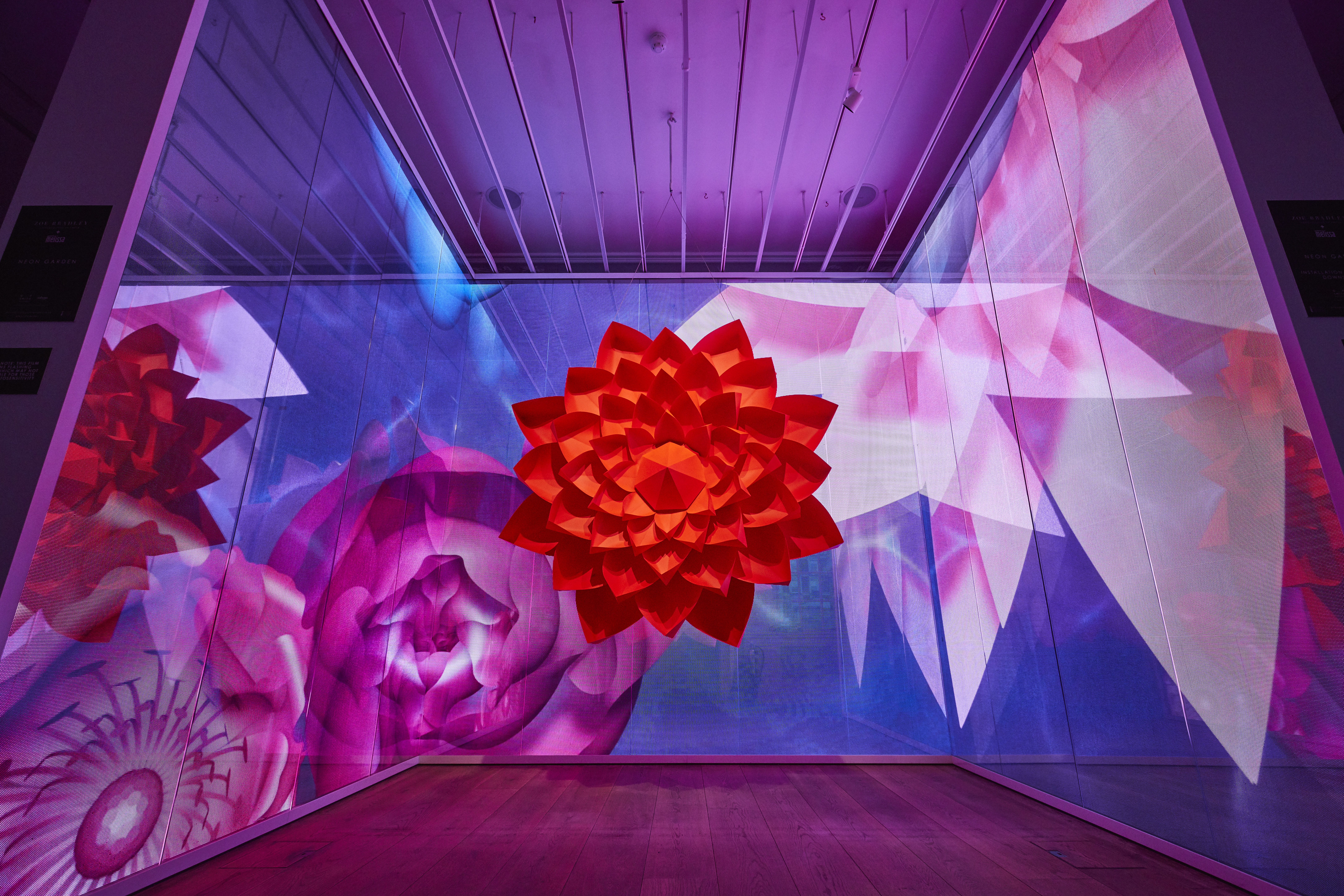 GALERIA MELISSA | NEON GARDEN