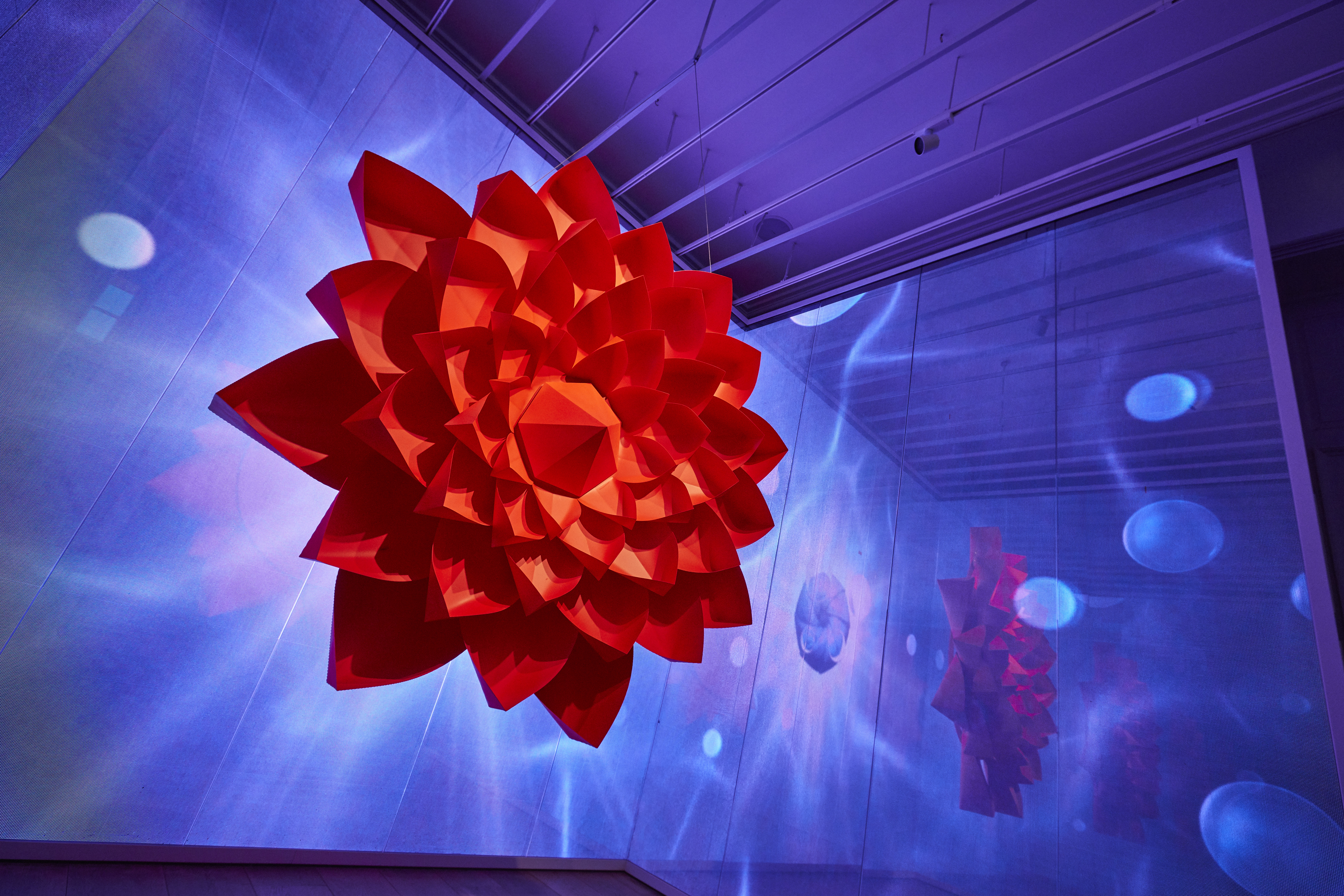 GALERIA MELISSA | NEON GARDEN