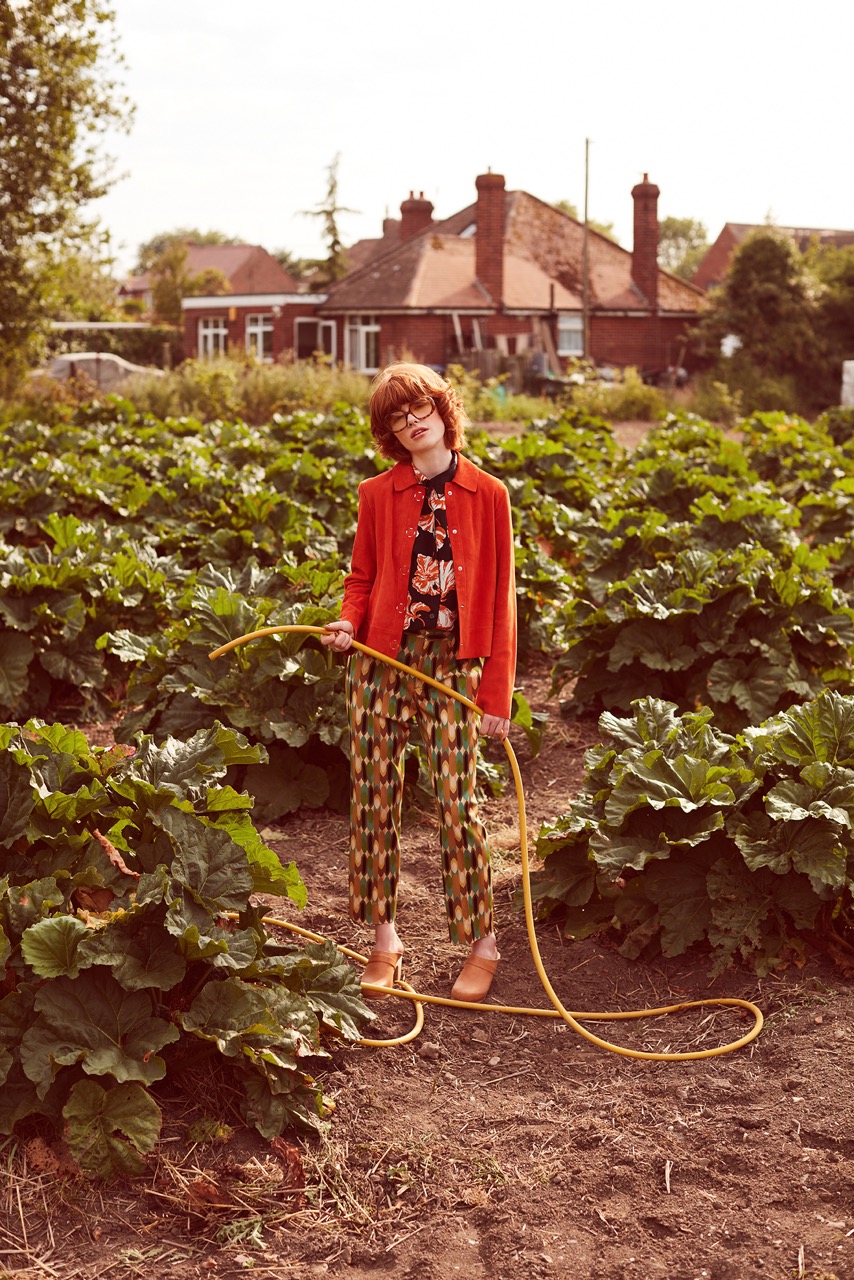 Full Bloom | The Observer