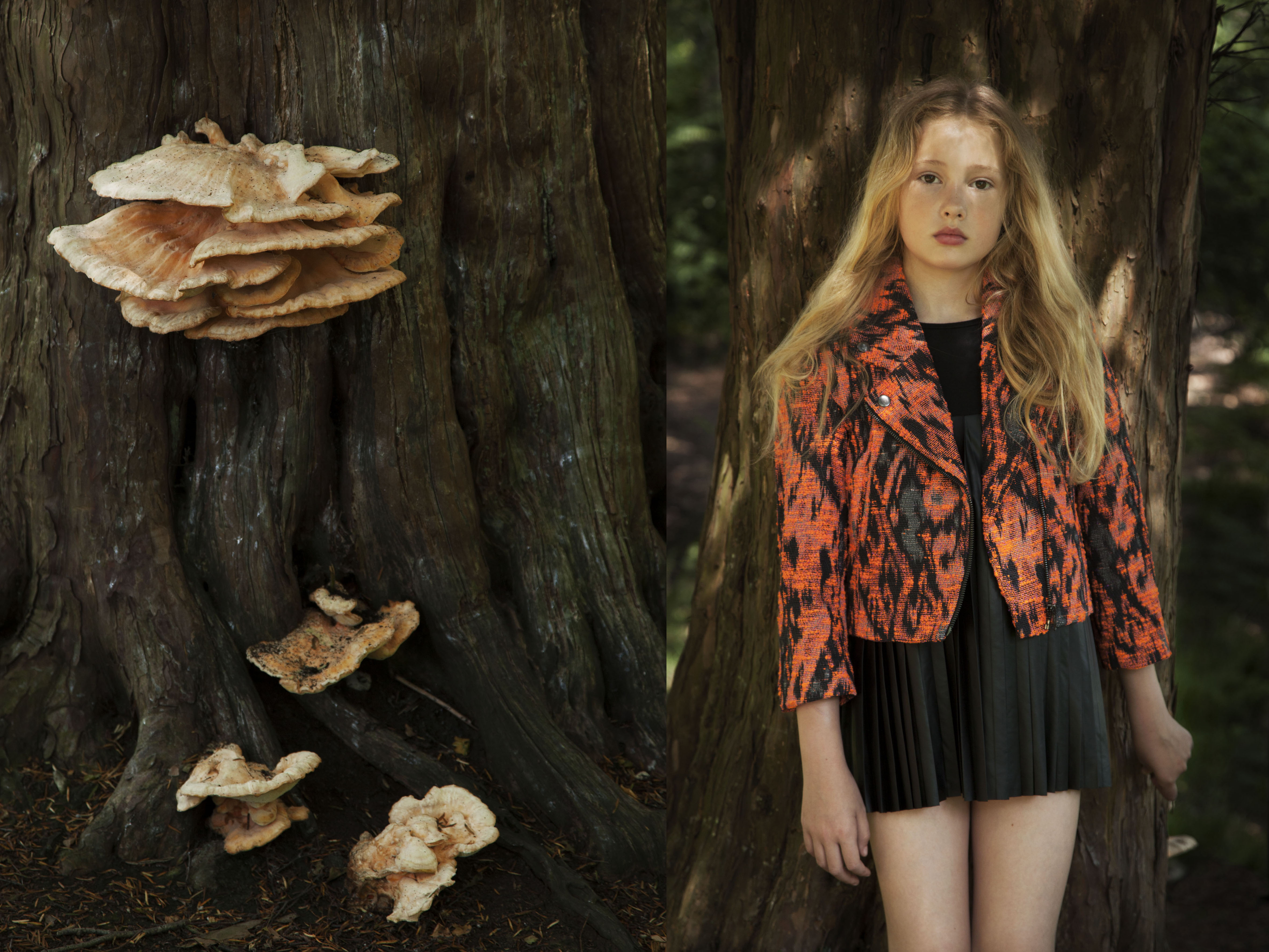 Papier Mache | New forest