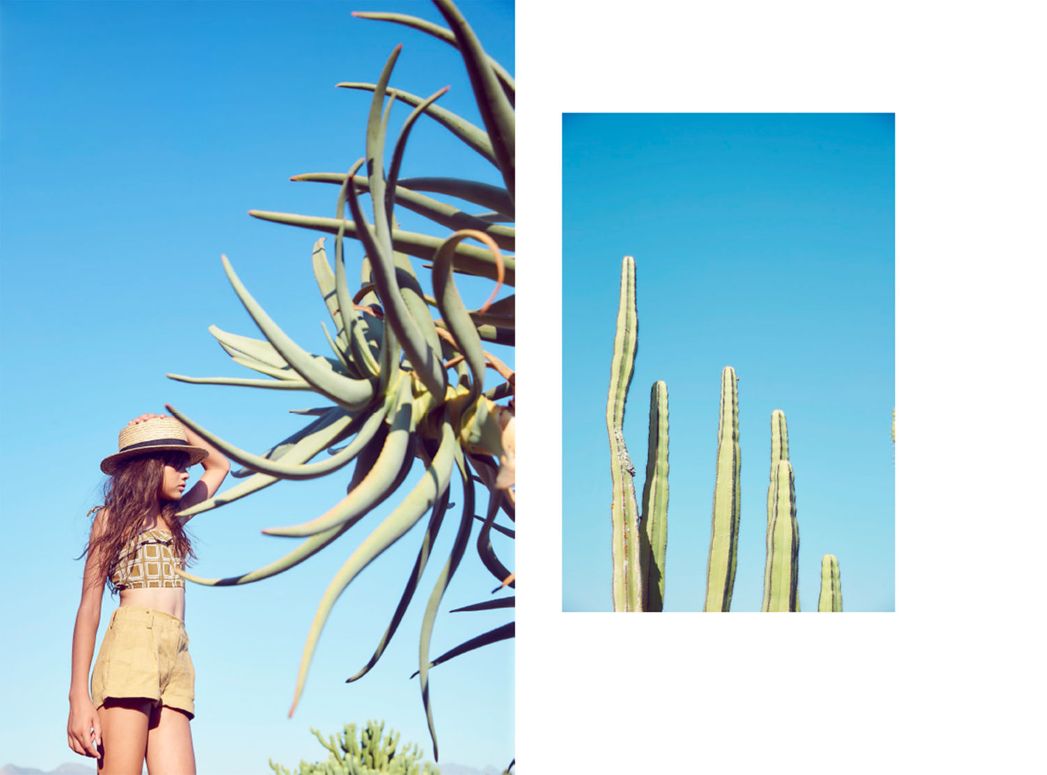 Hooligans | Cactus