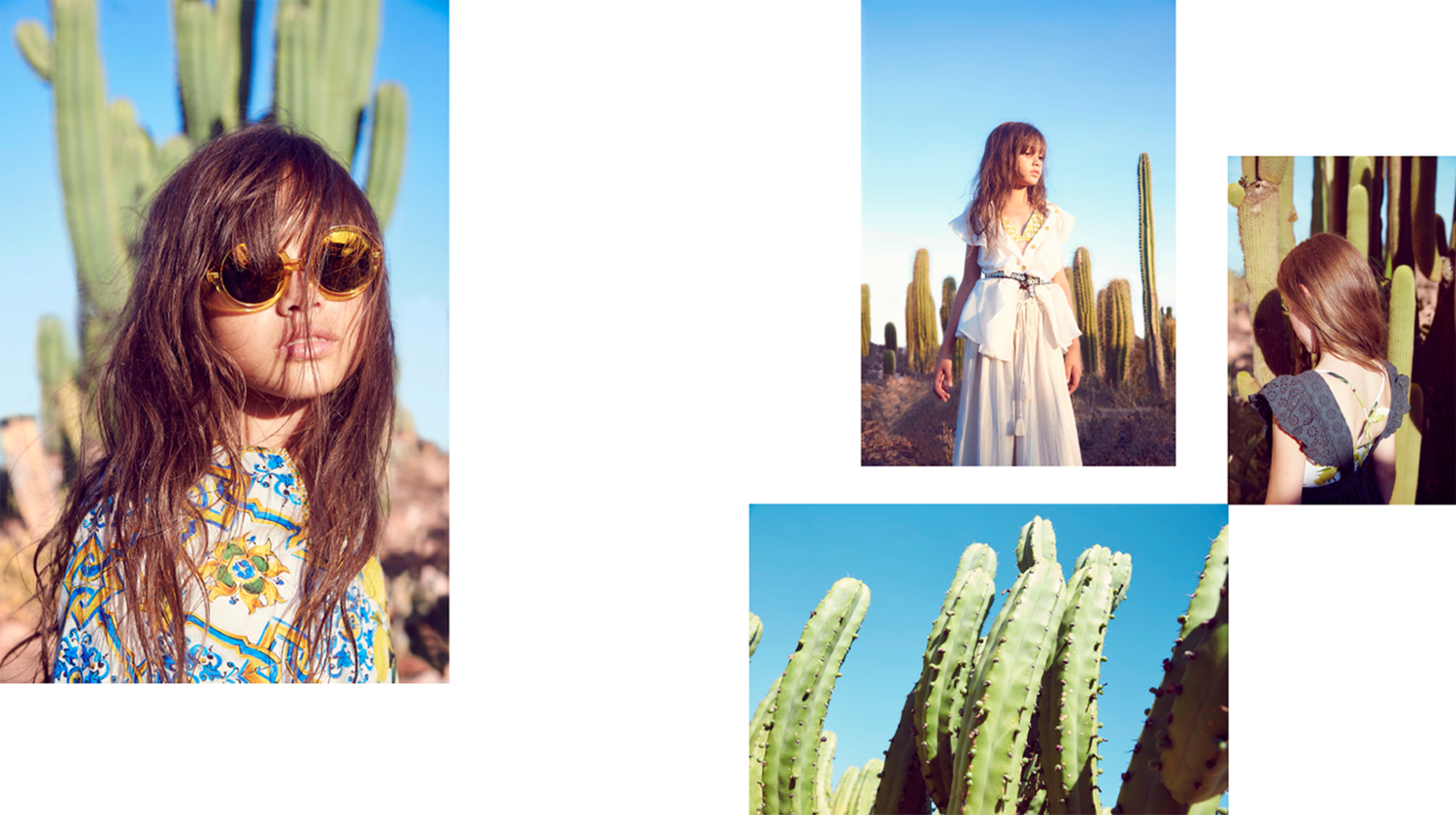 Hooligans | Cactus