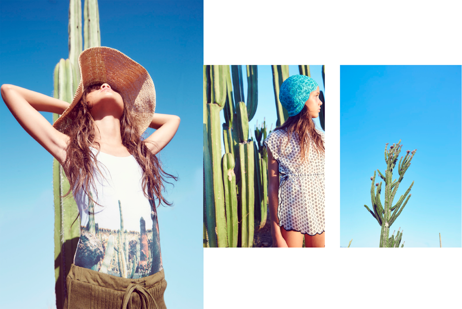 Hooligans | Cactus