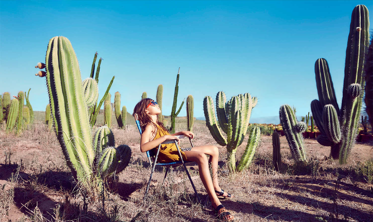 Hooligans | Cactus