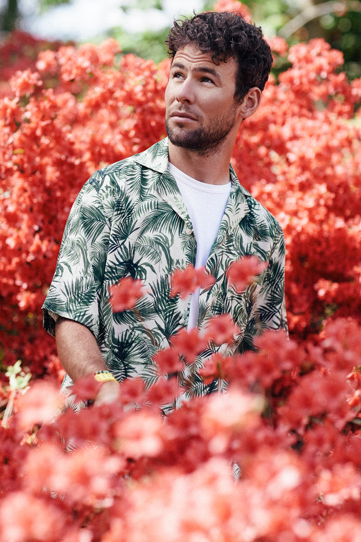 The Jackal | Mark Cavendish