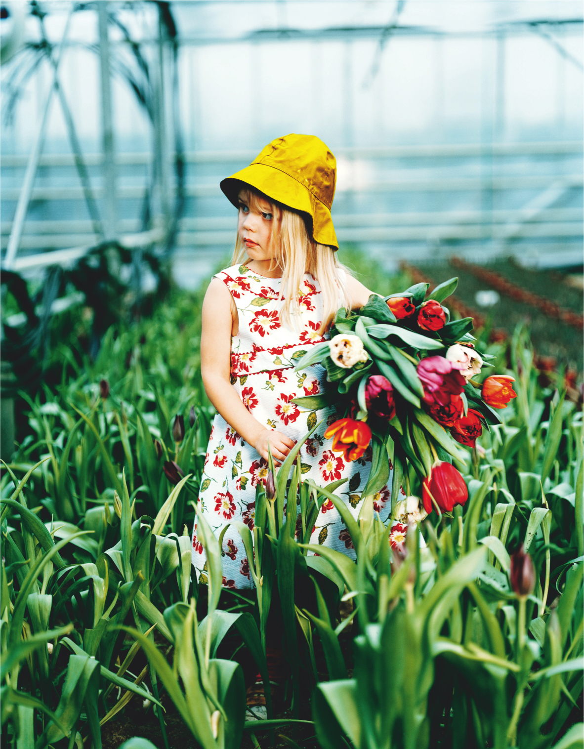 milk | greenhouse