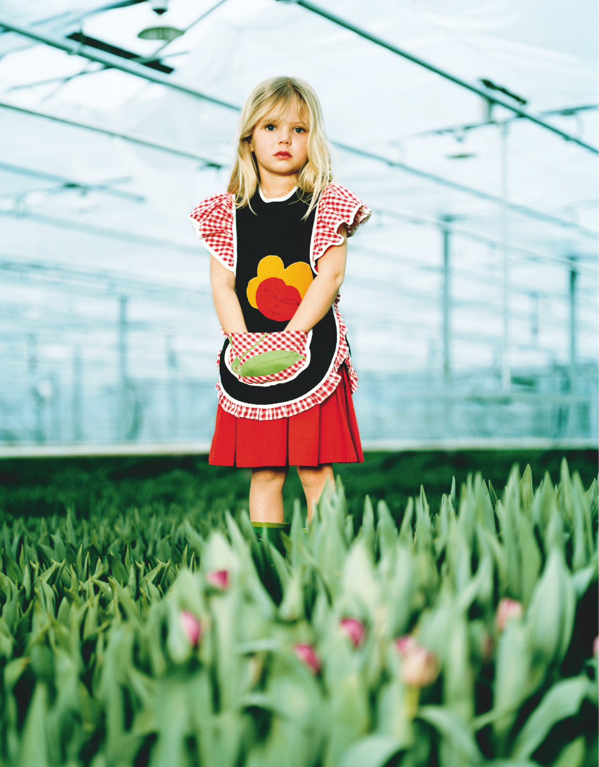 milk | greenhouse