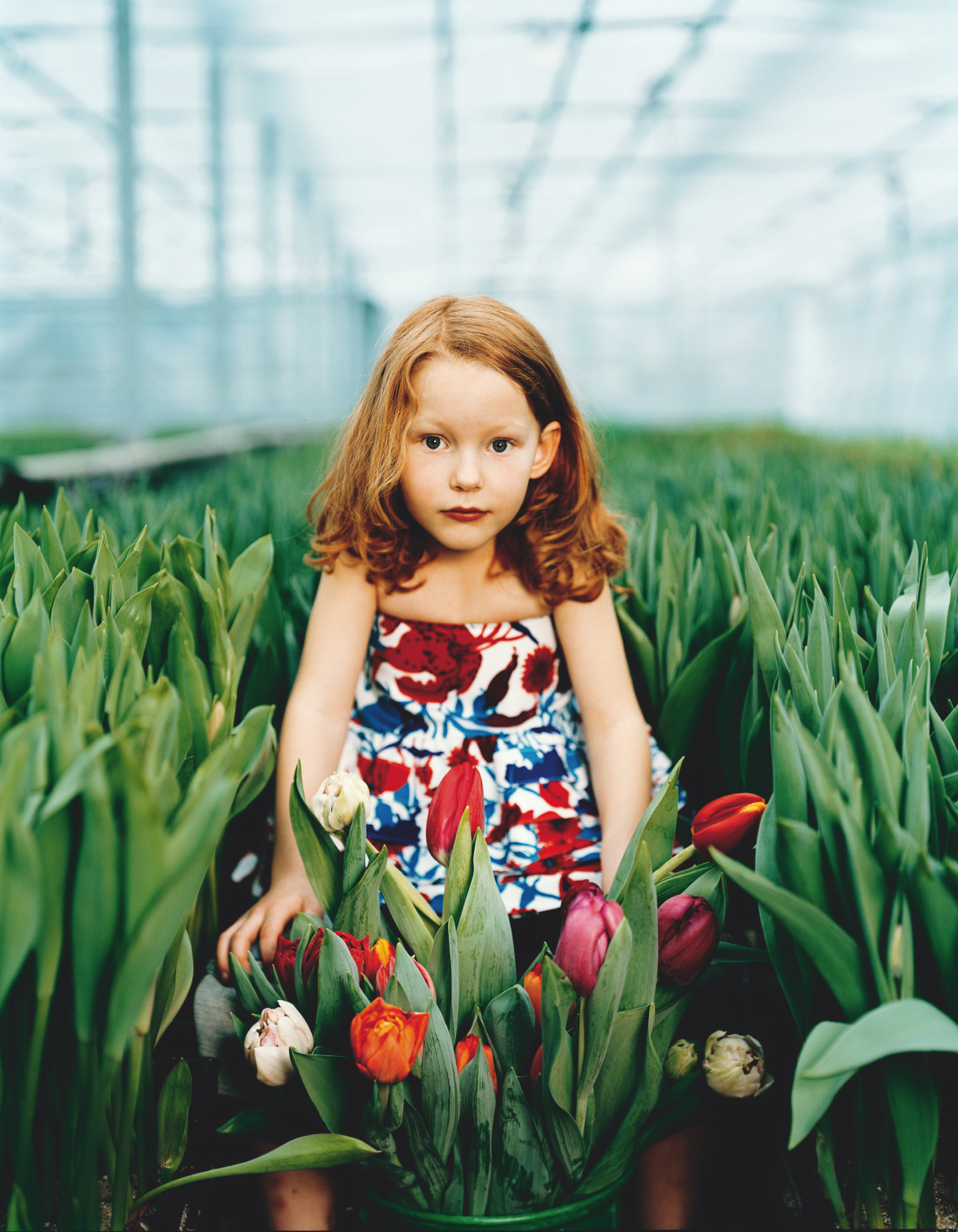 milk | greenhouse