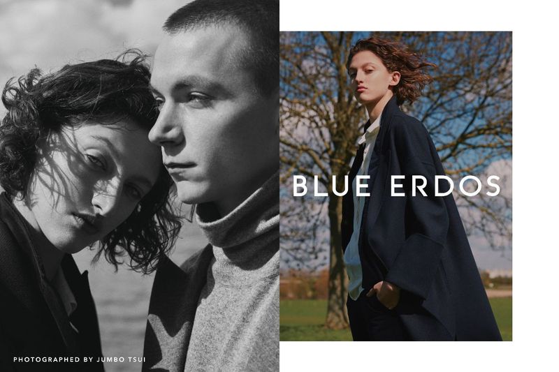 Blue Erdos