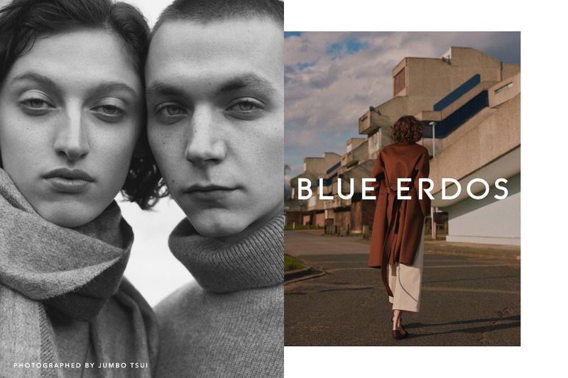 Blue Erdos