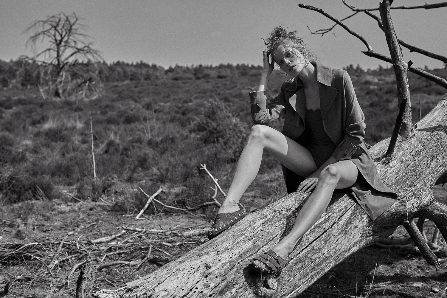 Make | Wild at Heart