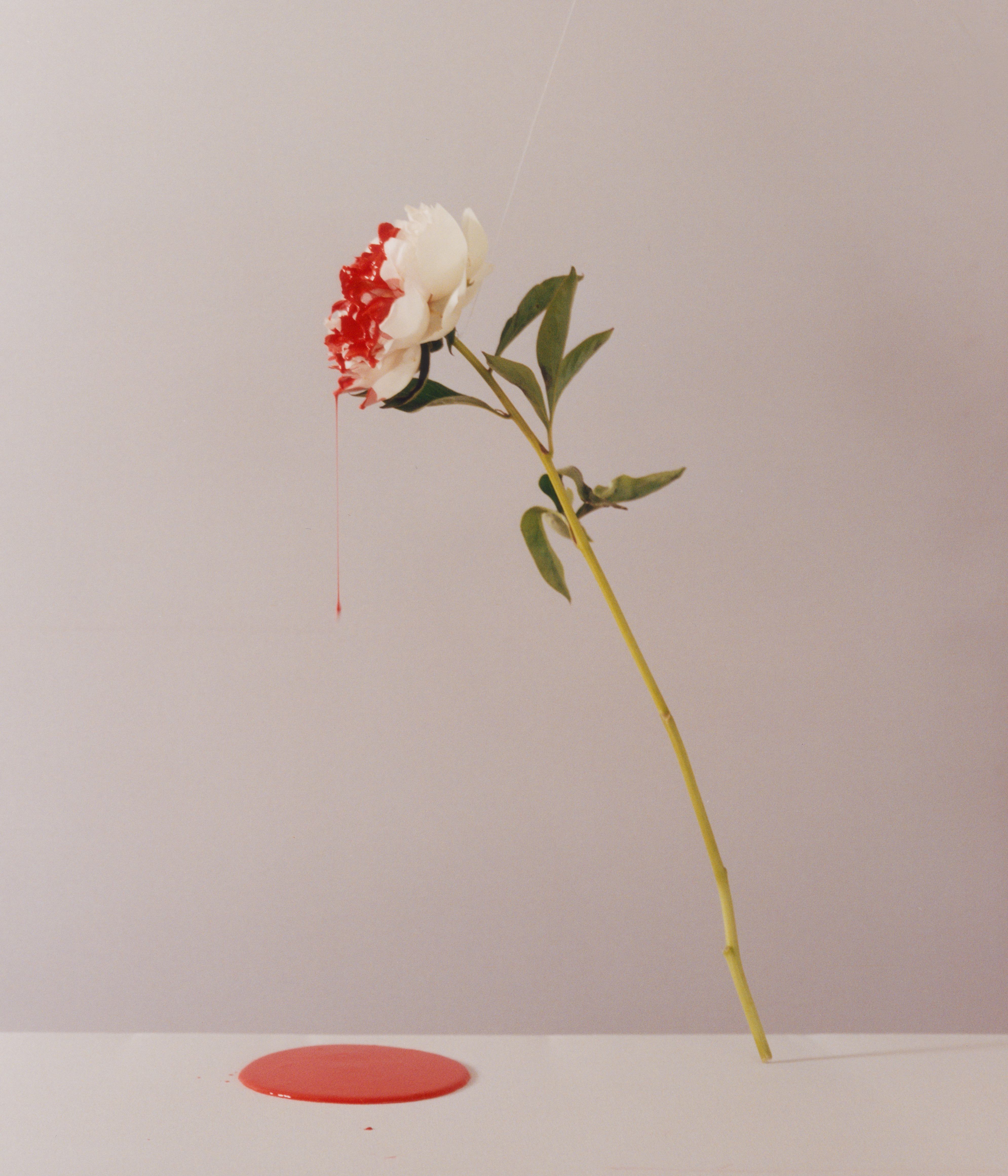 Clo Studio