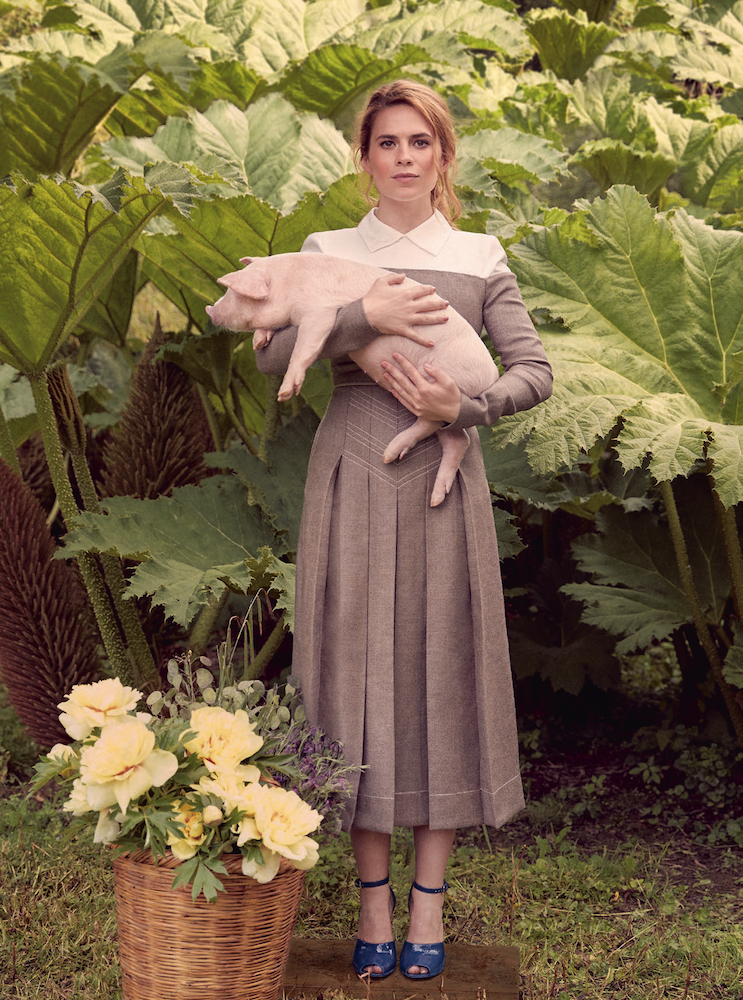TOWN & COUNTRY | HAYLEY ATWELL