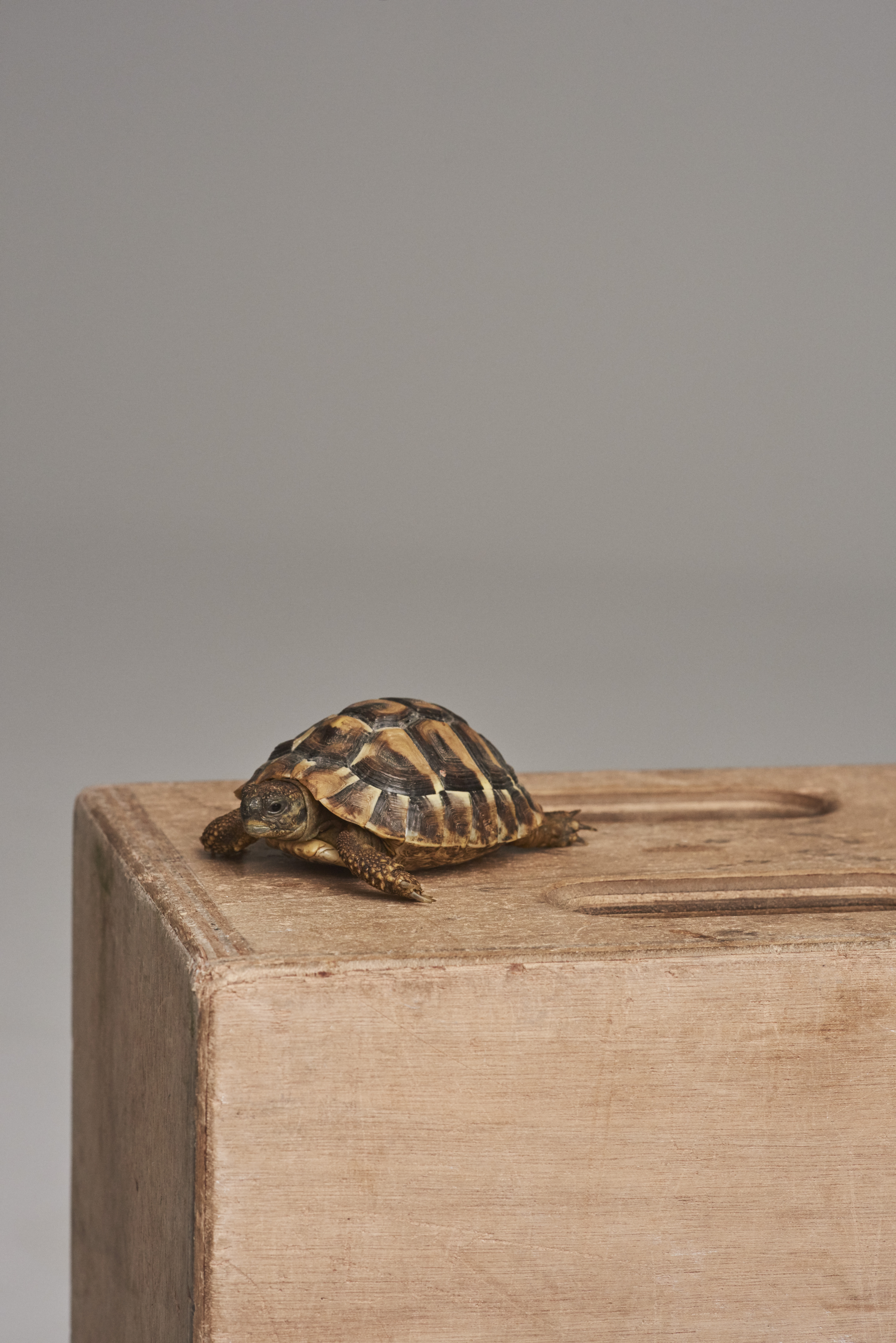 Klara Kristin | Eurowoman