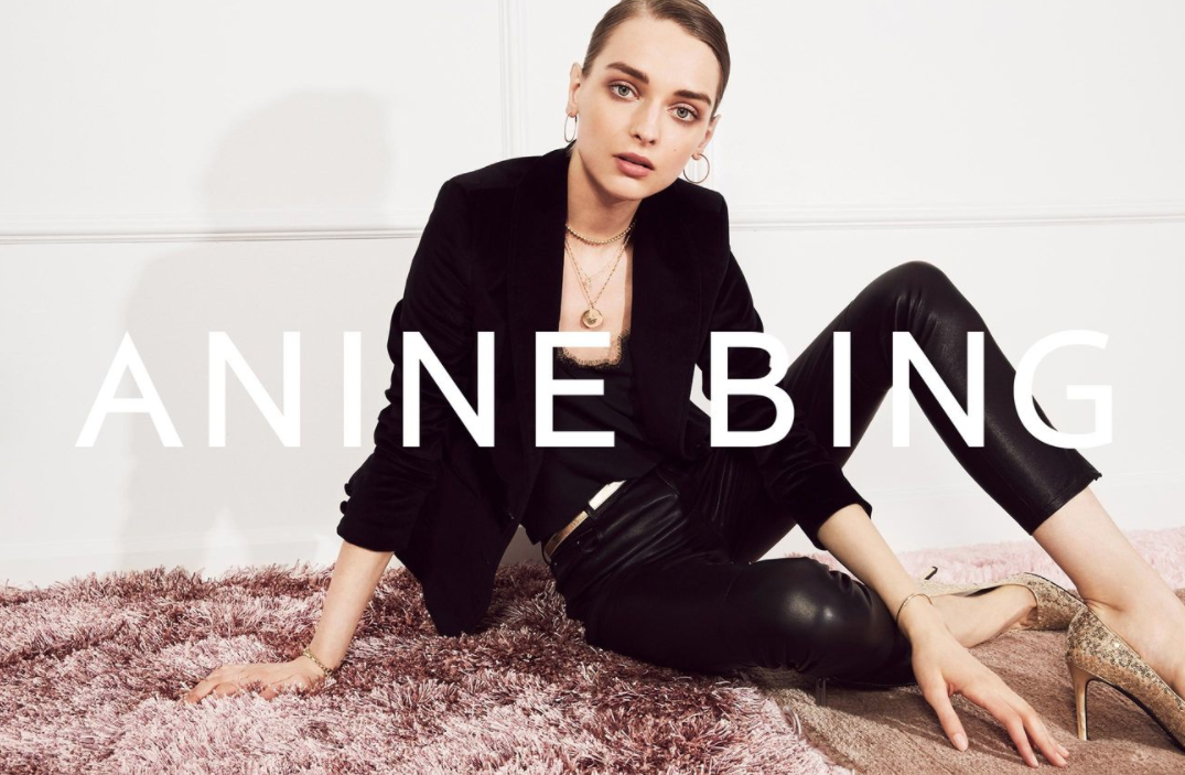 Anine Bing