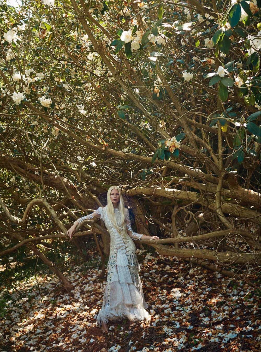Kirsty Hume | Harpers Bazaar