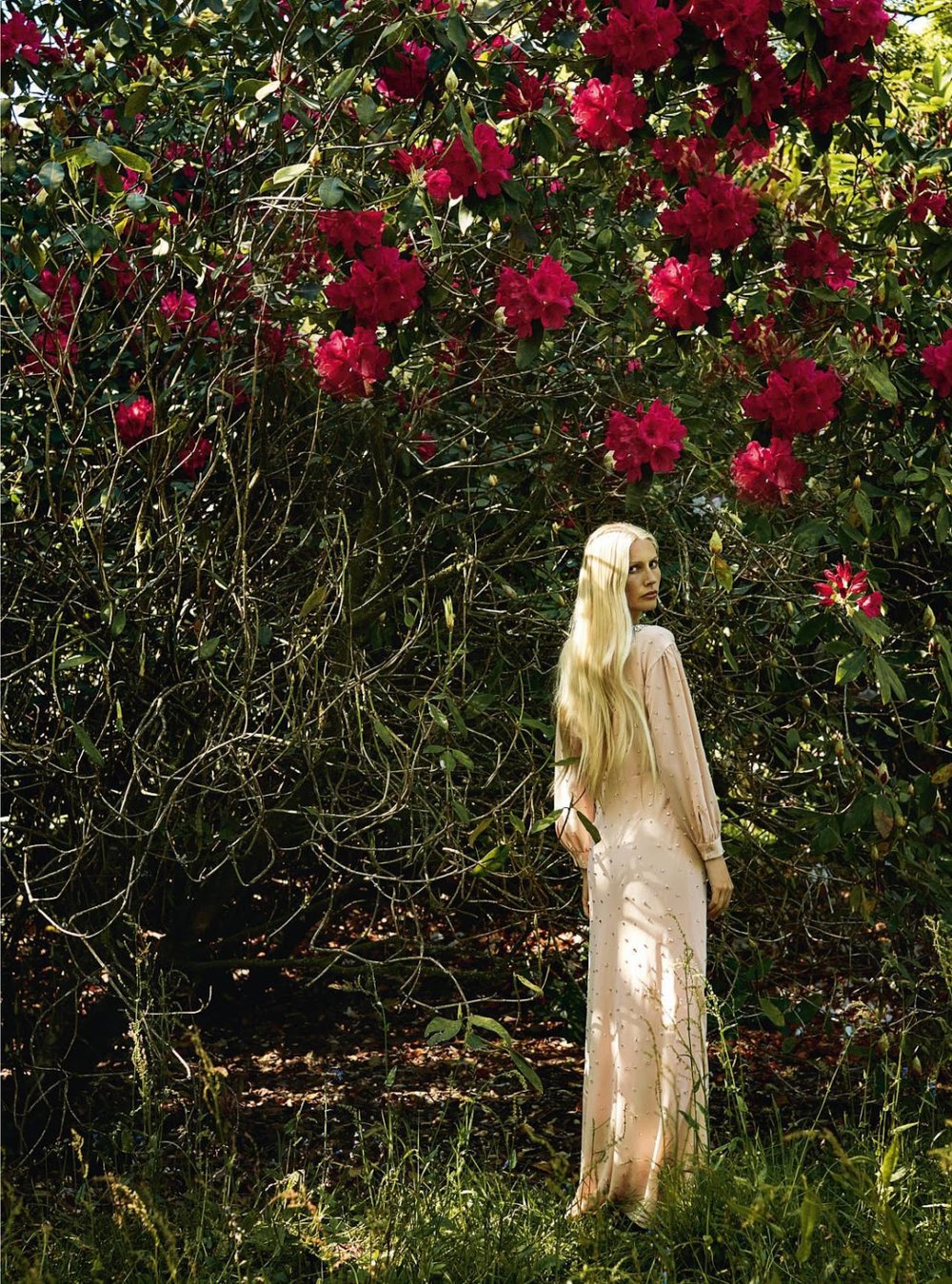 Kirsty Hume | Harpers Bazaar