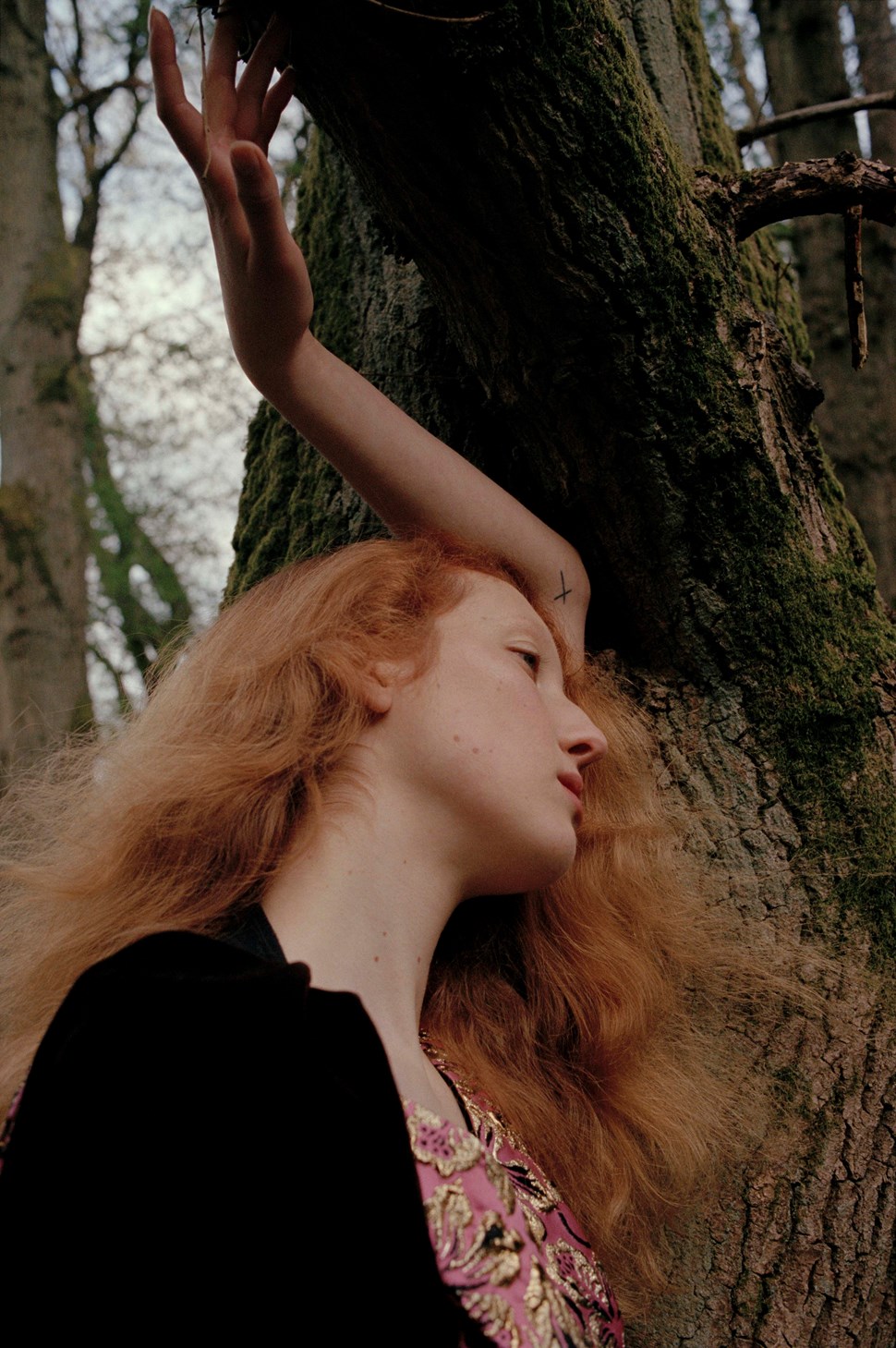 Lorna Foran | The Violet Book