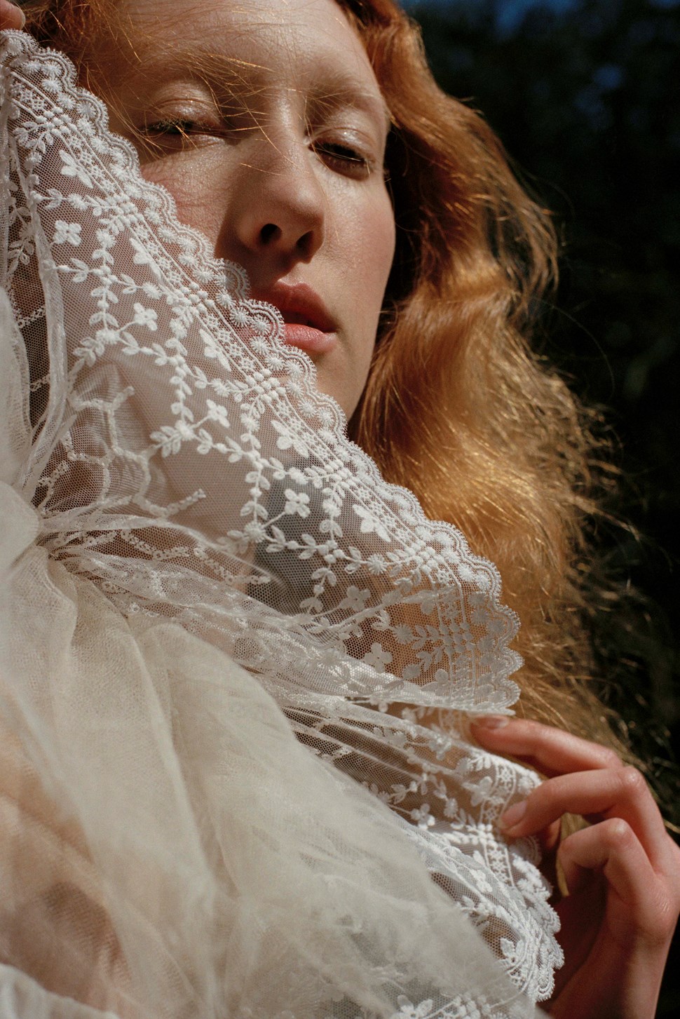 Lorna Foran | The Violet Book