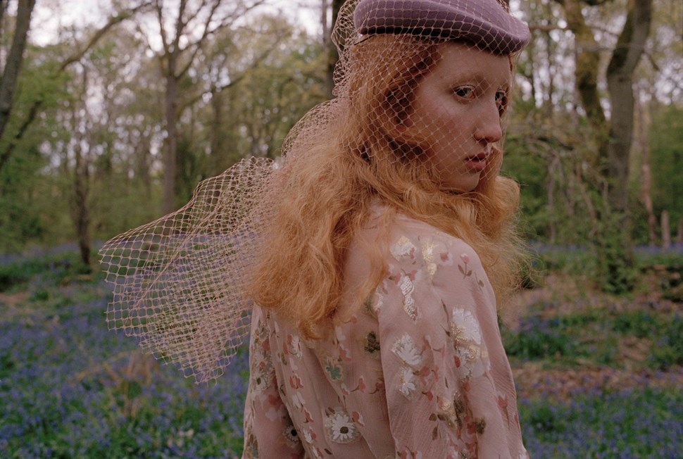 Lorna Foran | The Violet Book