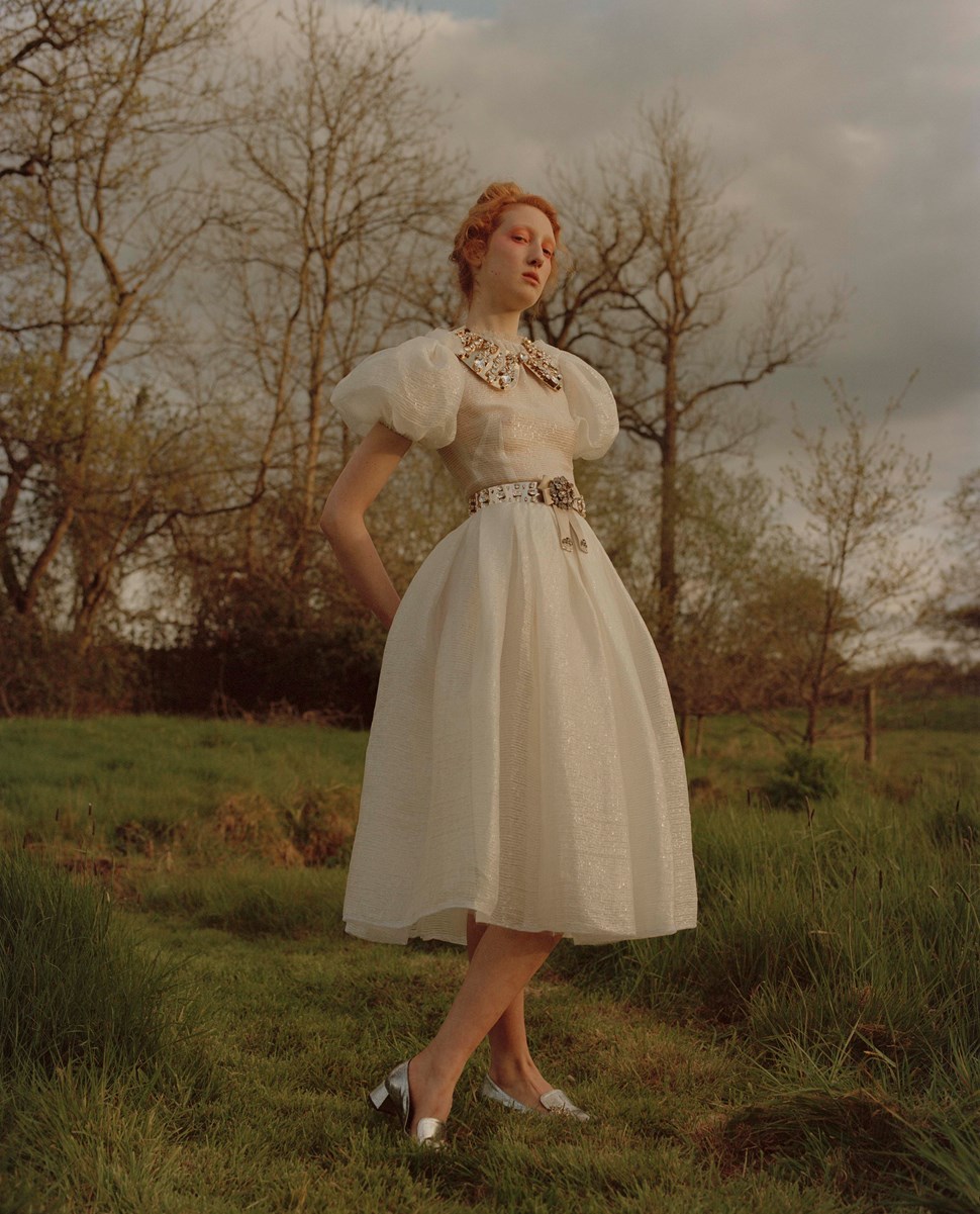 Lorna Foran | The Violet Book