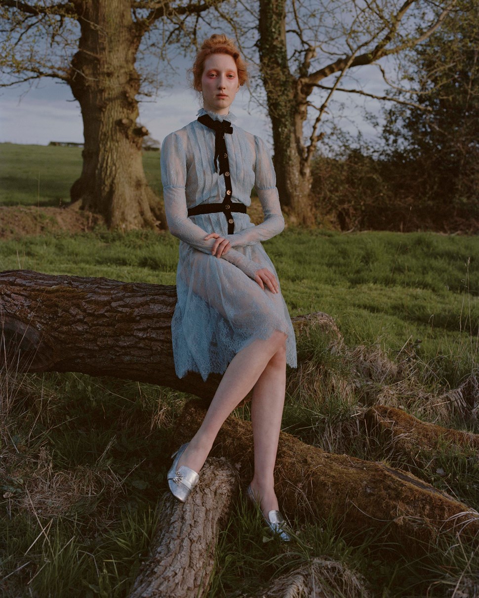 Lorna Foran | The Violet Book