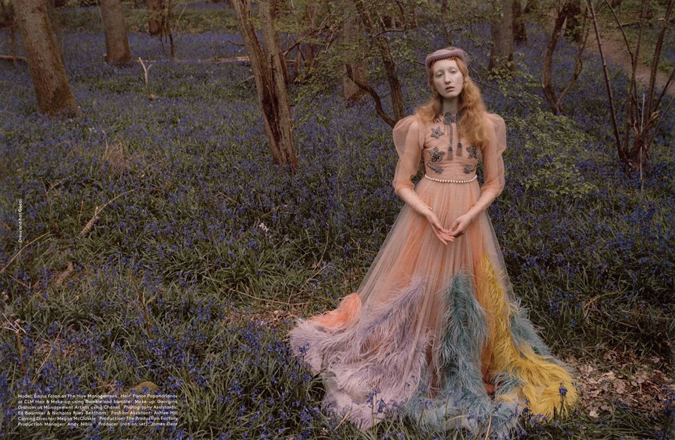 Lorna Foran | The Violet Book