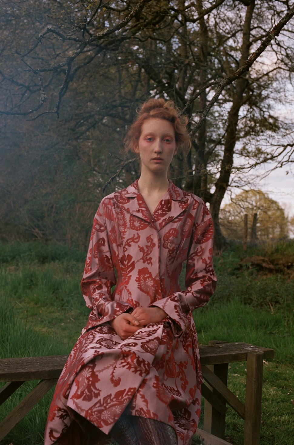 Lorna Foran | The Violet Book