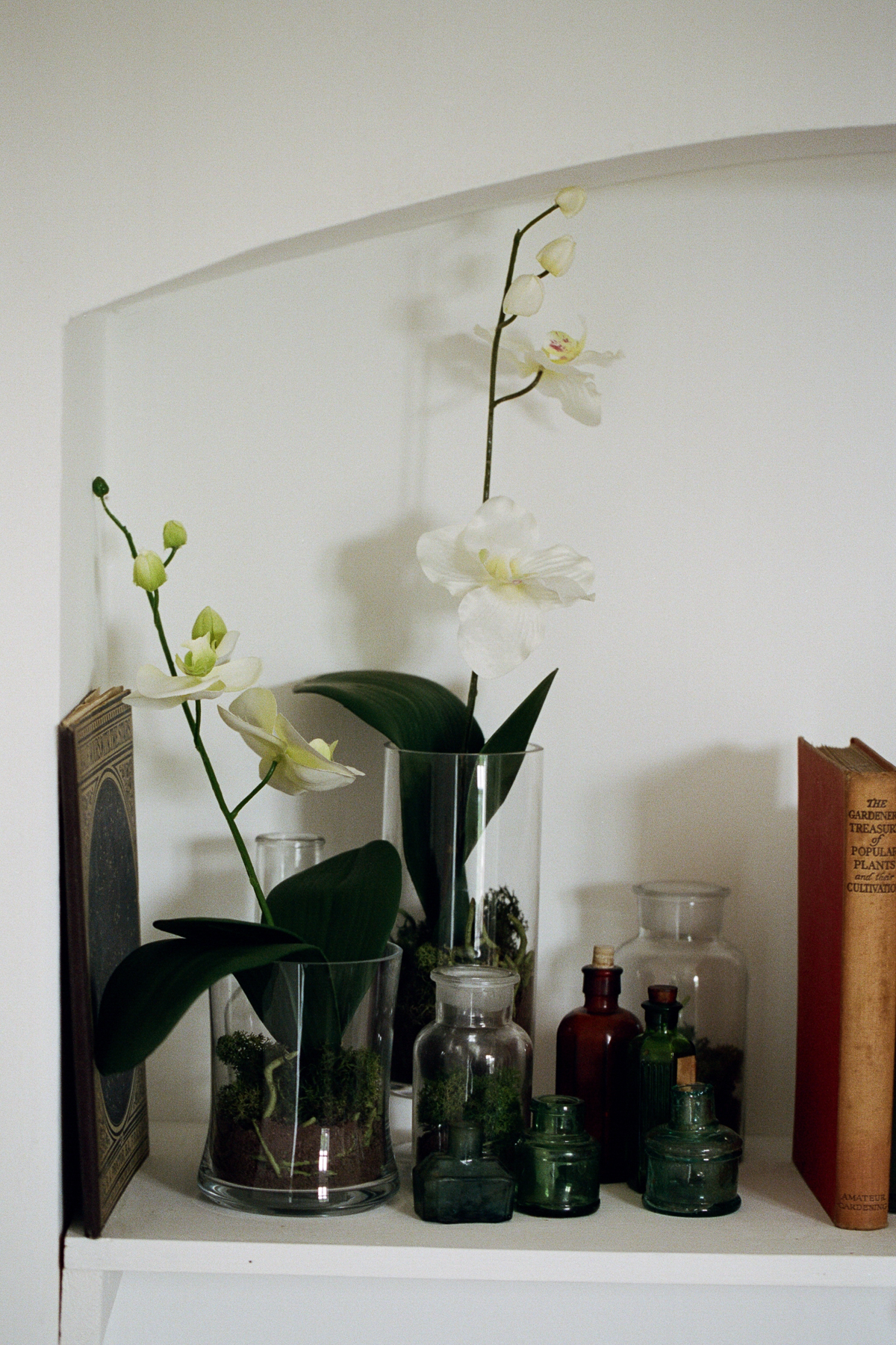 Seeds of Hope | Harewood House