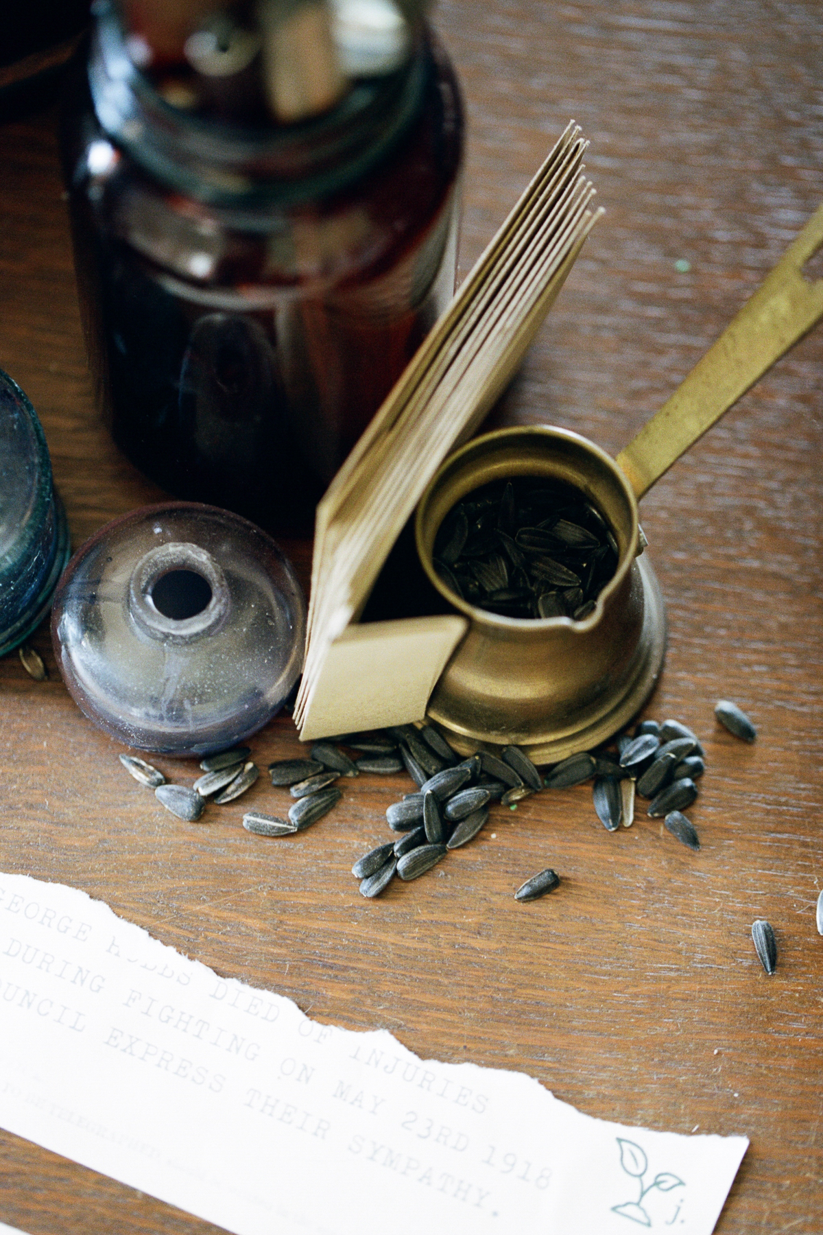 Seeds of Hope | Harewood House