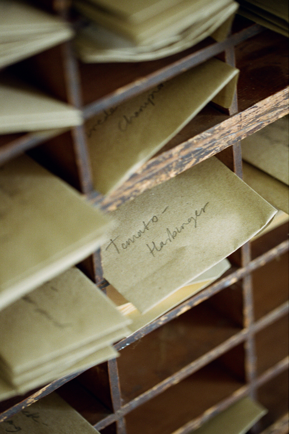 Seeds of Hope | Harewood House