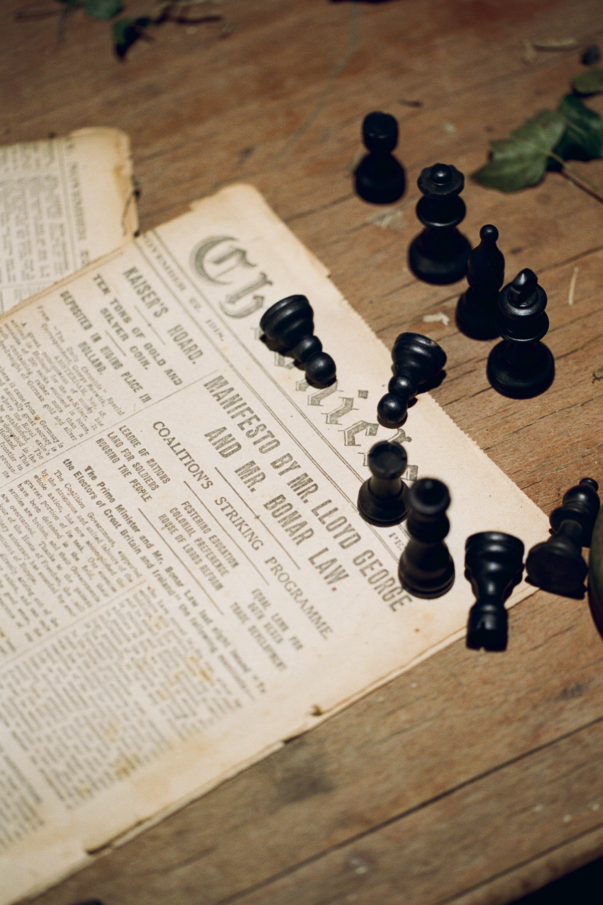 Seeds of Hope | Harewood House