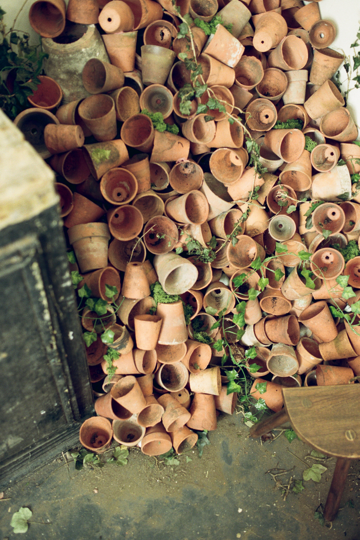 Seeds of Hope | Harewood House